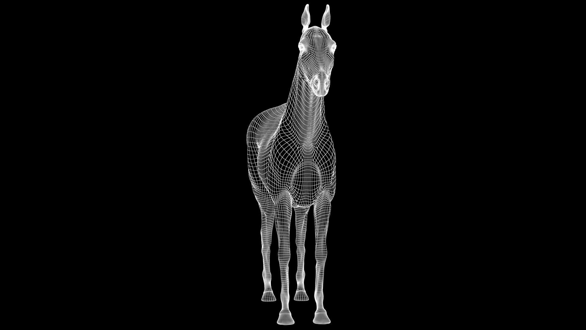 Horse Model 3D - Rigged - X-gen interactive grooming 3D model_35