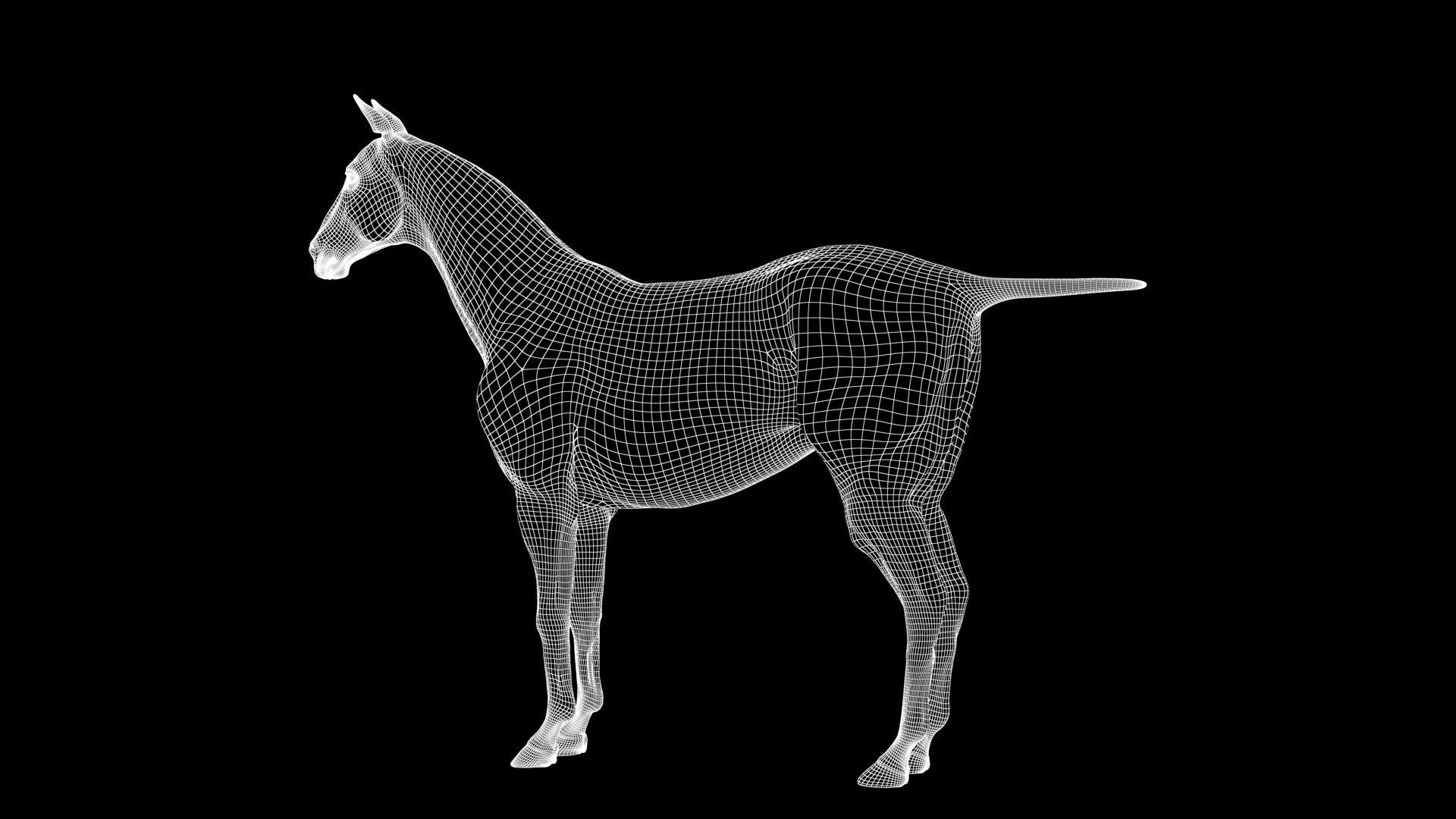 Horse Model 3D - Rigged - X-gen interactive grooming 3D model_39