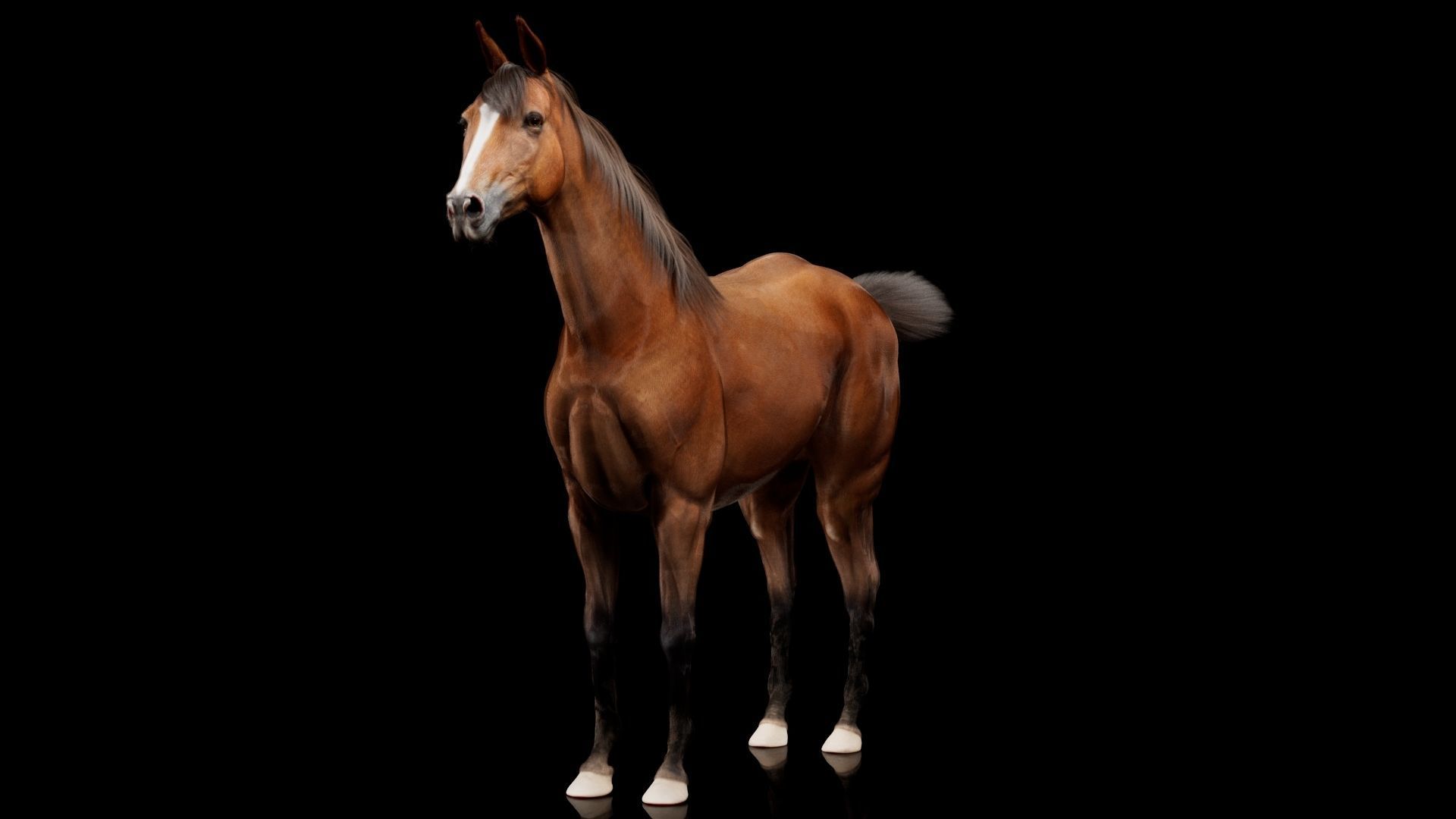 Horse Model 3D - Rigged - X-gen interactive grooming 3D model_8