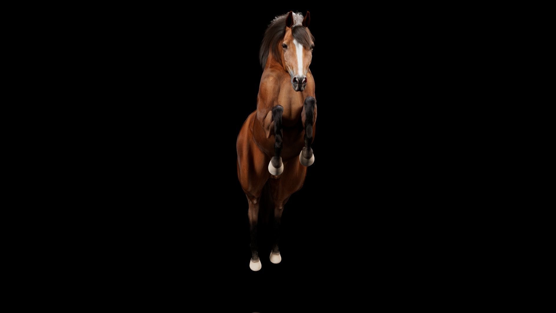 Horse Model 3D - Rigged - X-gen interactive grooming 3D model_48