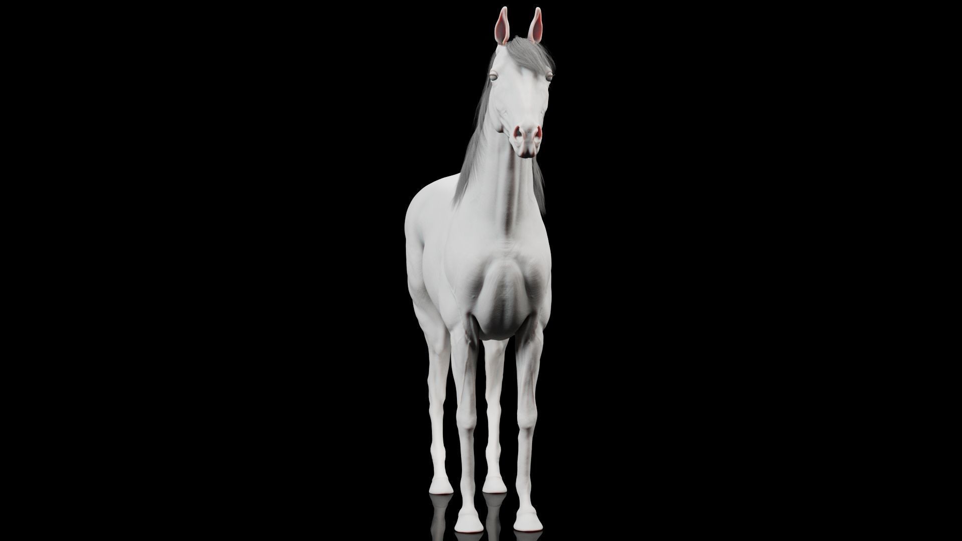 Horse Model 3D - Rigged - X-gen interactive grooming 3D model_22