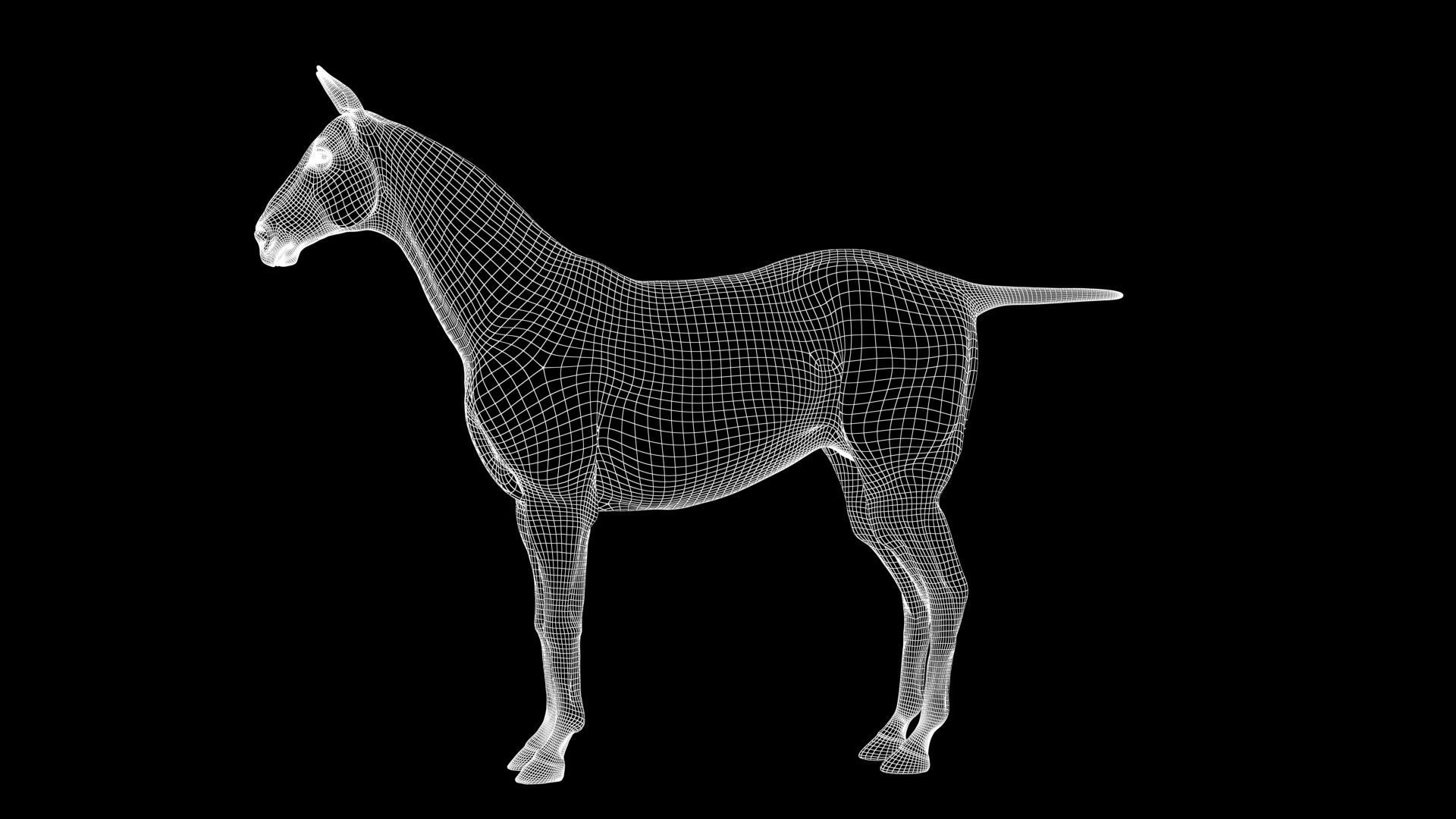Horse Model 3D - Rigged - X-gen interactive grooming 3D model_38