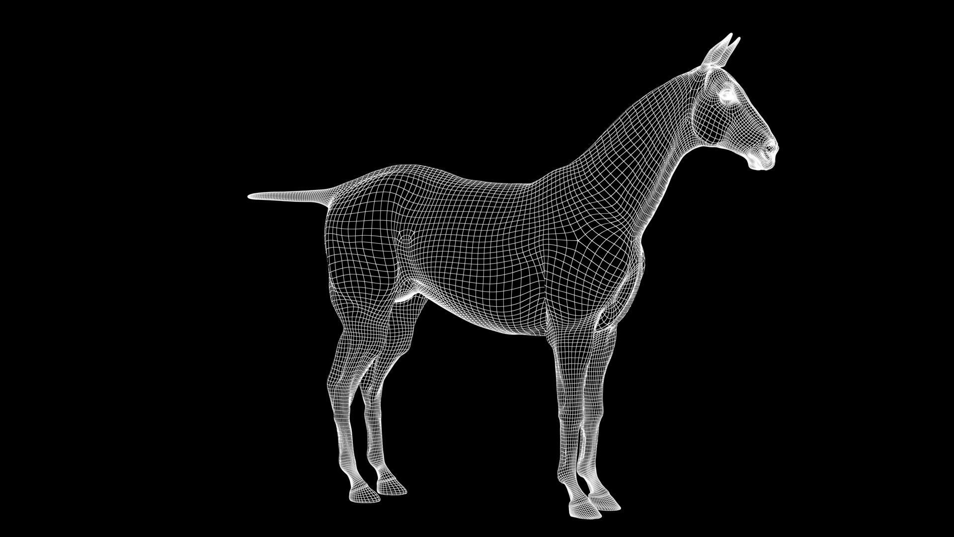 Horse Model 3D - Rigged - X-gen interactive grooming 3D model_33
