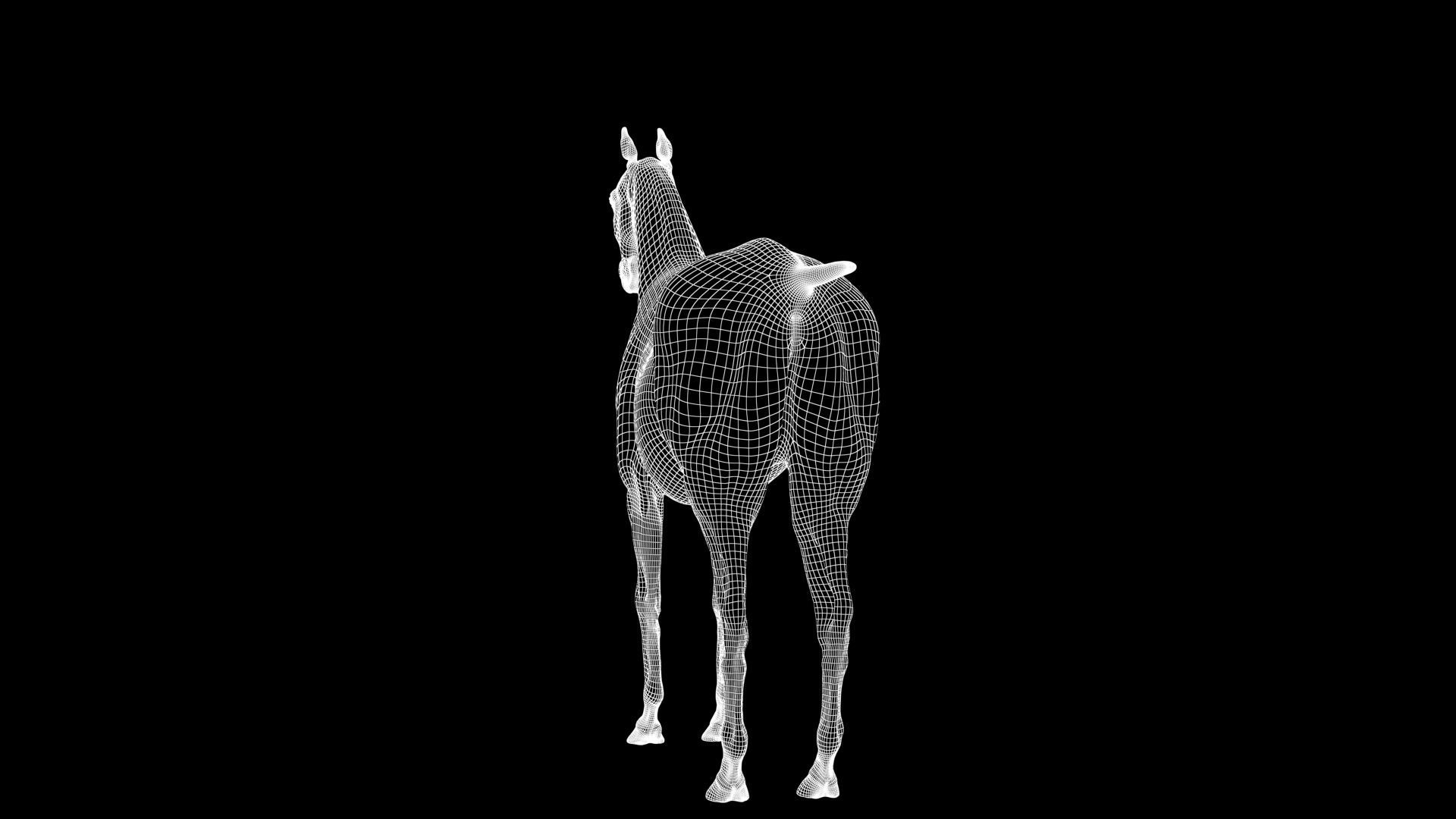 Horse Model 3D - Rigged - X-gen interactive grooming 3D model_41