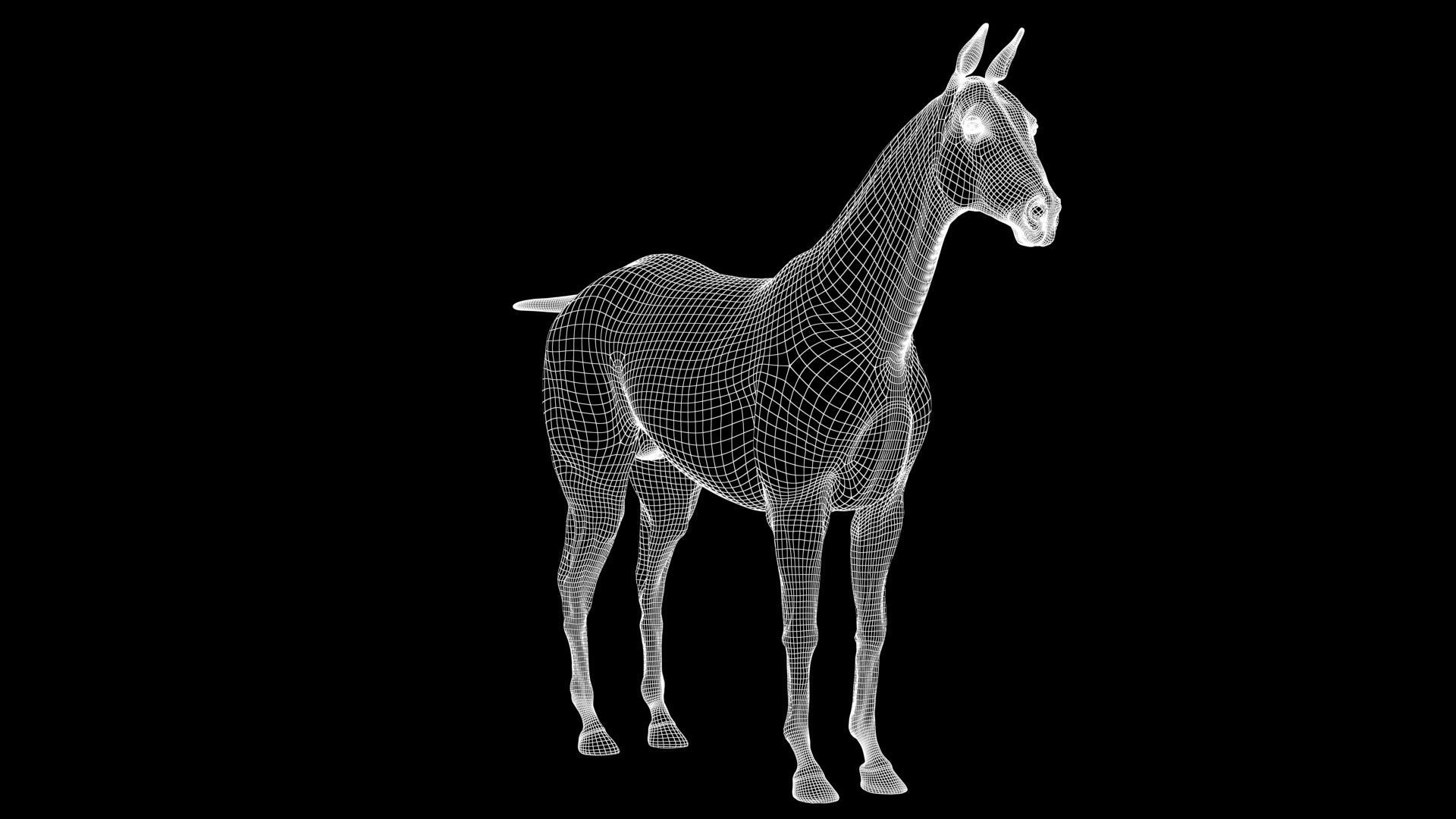 Horse Model 3D - Rigged - X-gen interactive grooming 3D model_34