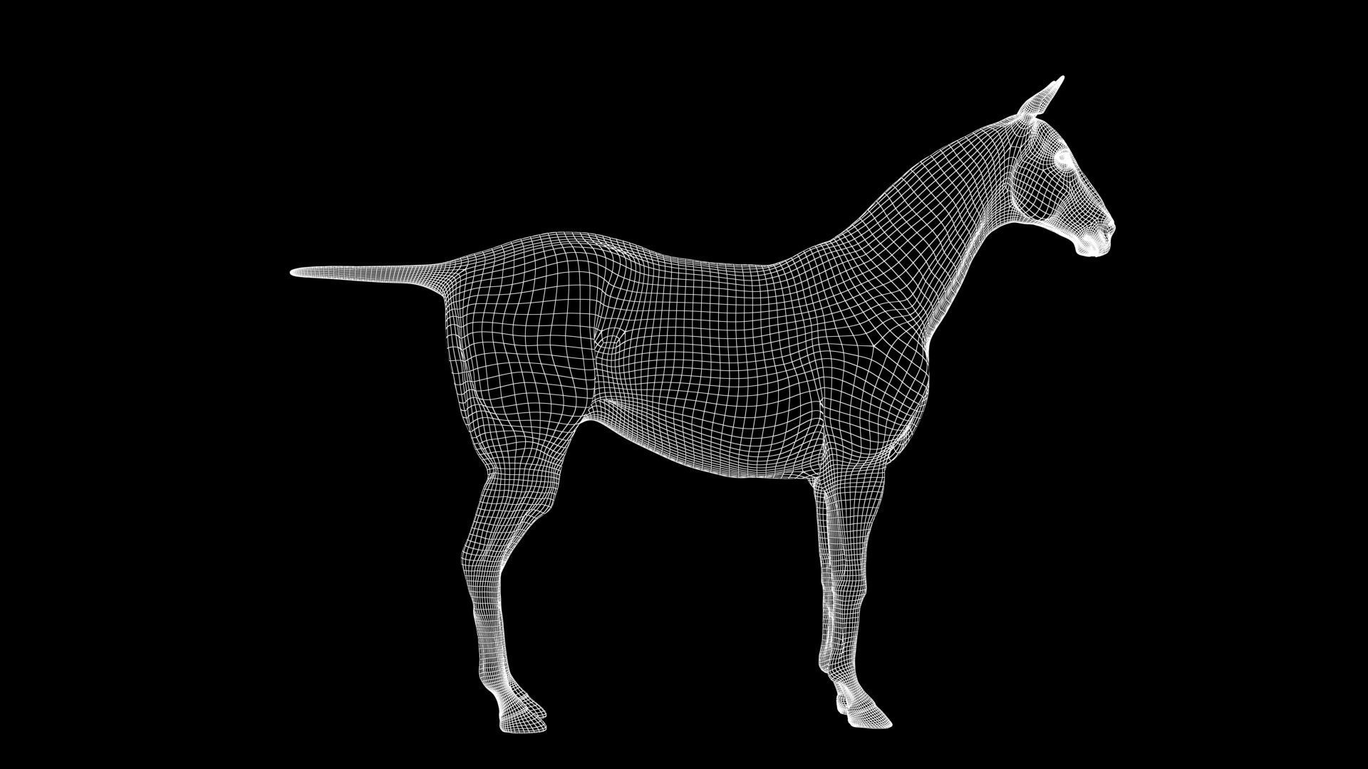 Horse Model 3D - Rigged - X-gen interactive grooming 3D model_32