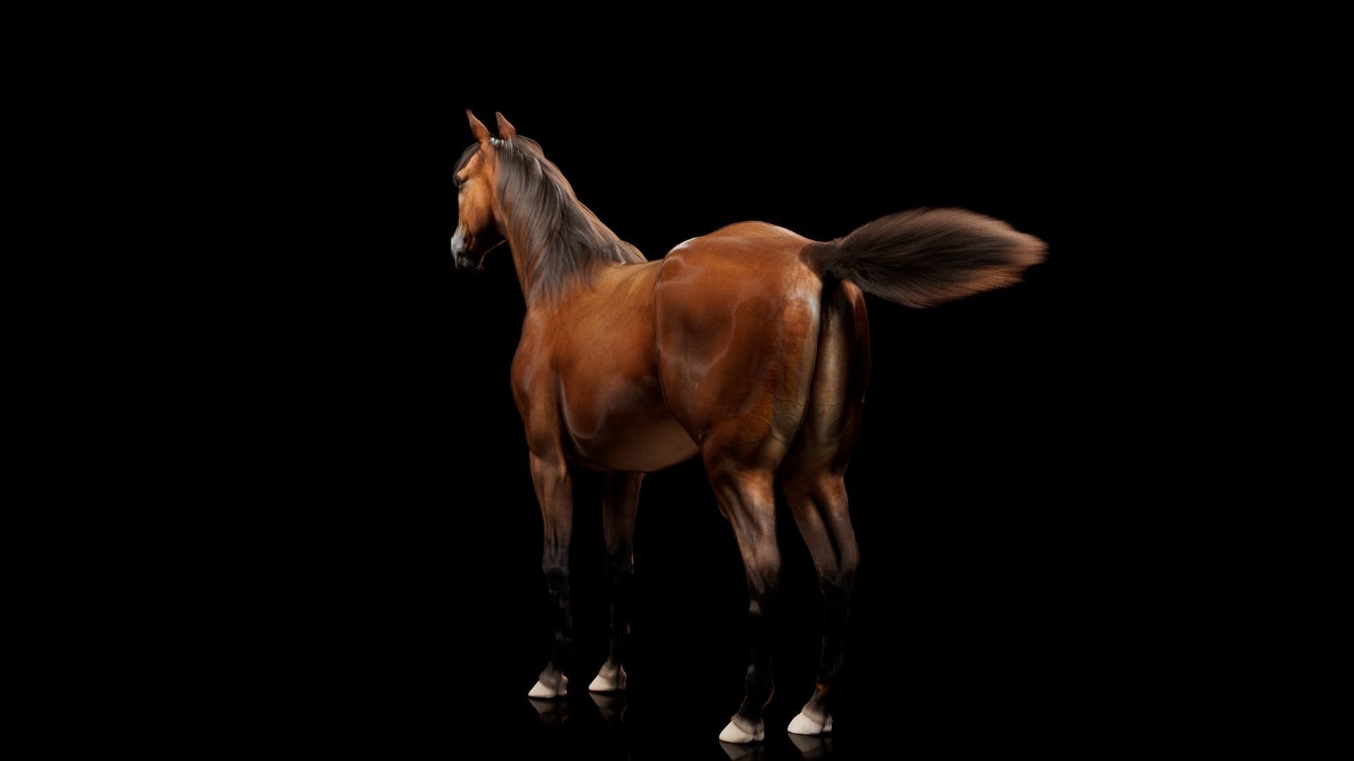Horse Model 3D - Rigged - X-gen interactive grooming 3D model_12