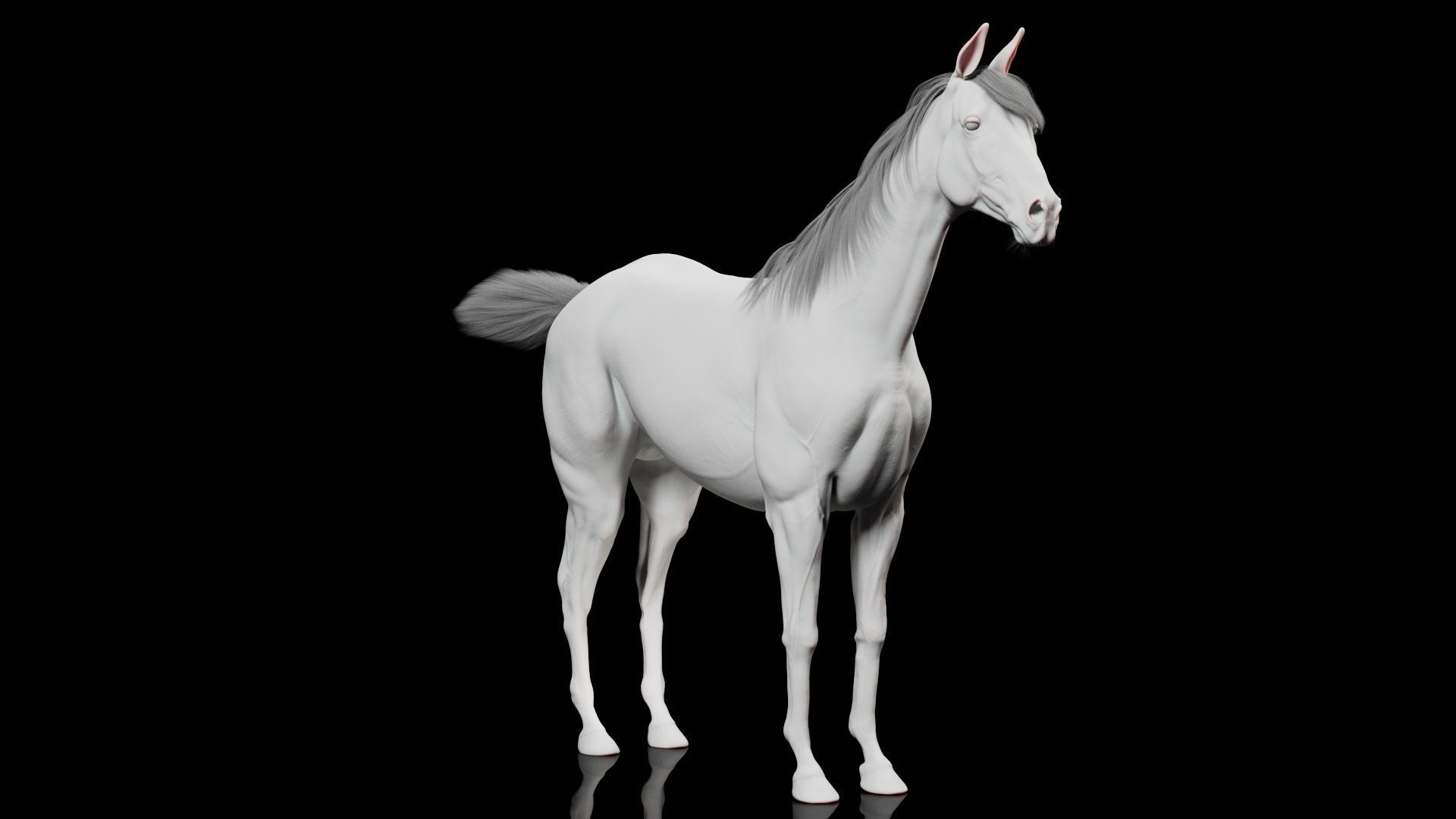 Horse Model 3D - Rigged - X-gen interactive grooming 3D model_21