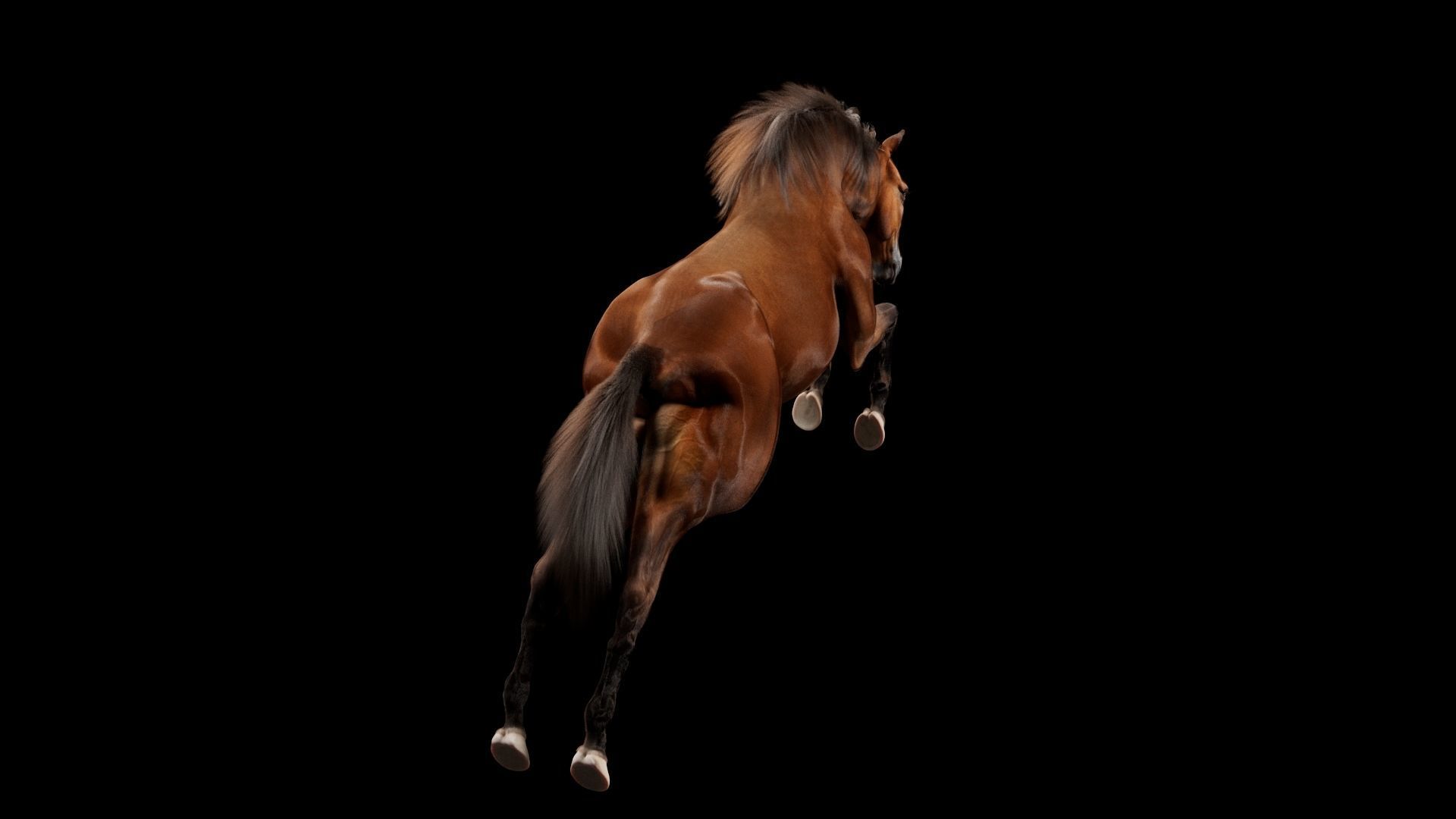 Horse Model 3D - Rigged - X-gen interactive grooming 3D model_43