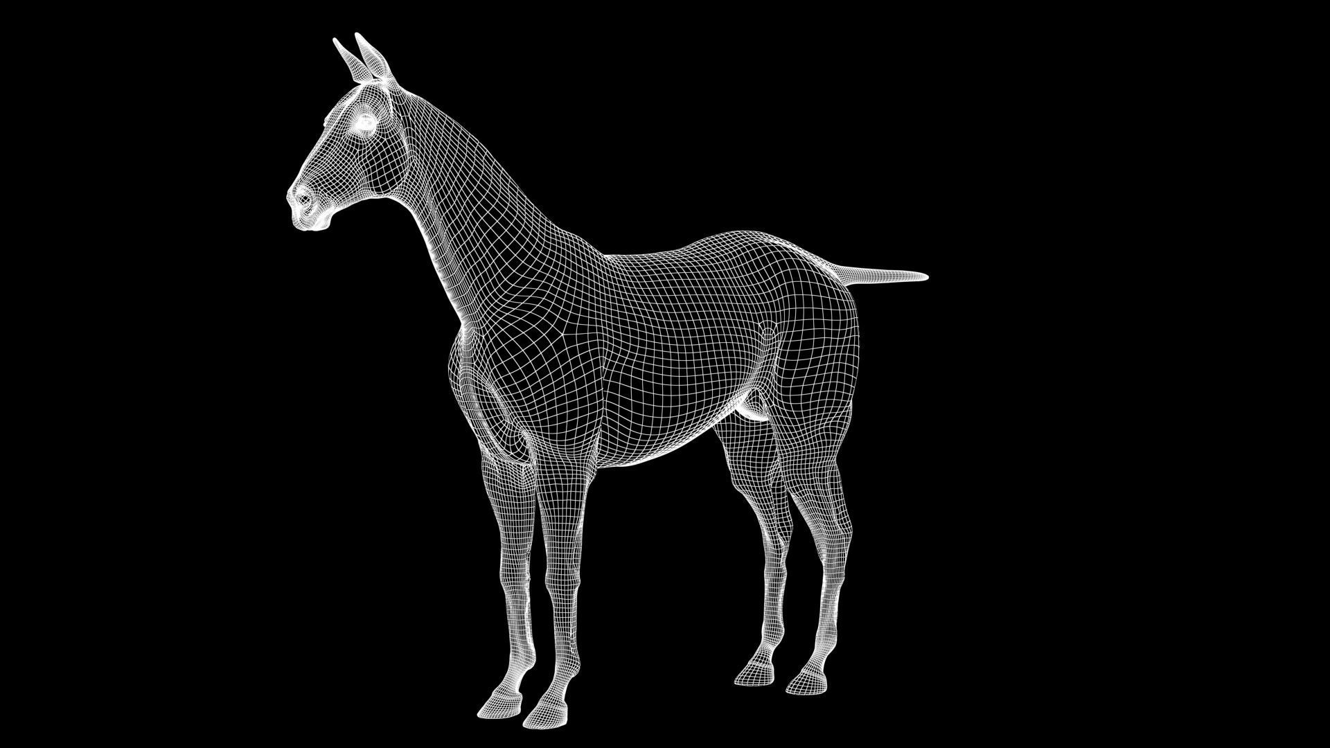 Horse Model 3D - Rigged - X-gen interactive grooming 3D model_37