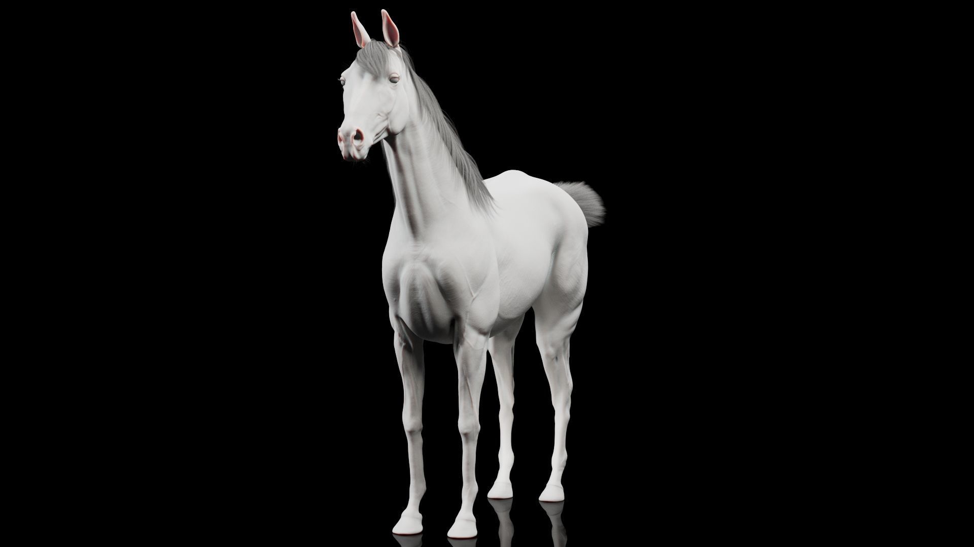 Horse Model 3D - Rigged - X-gen interactive grooming 3D model_23