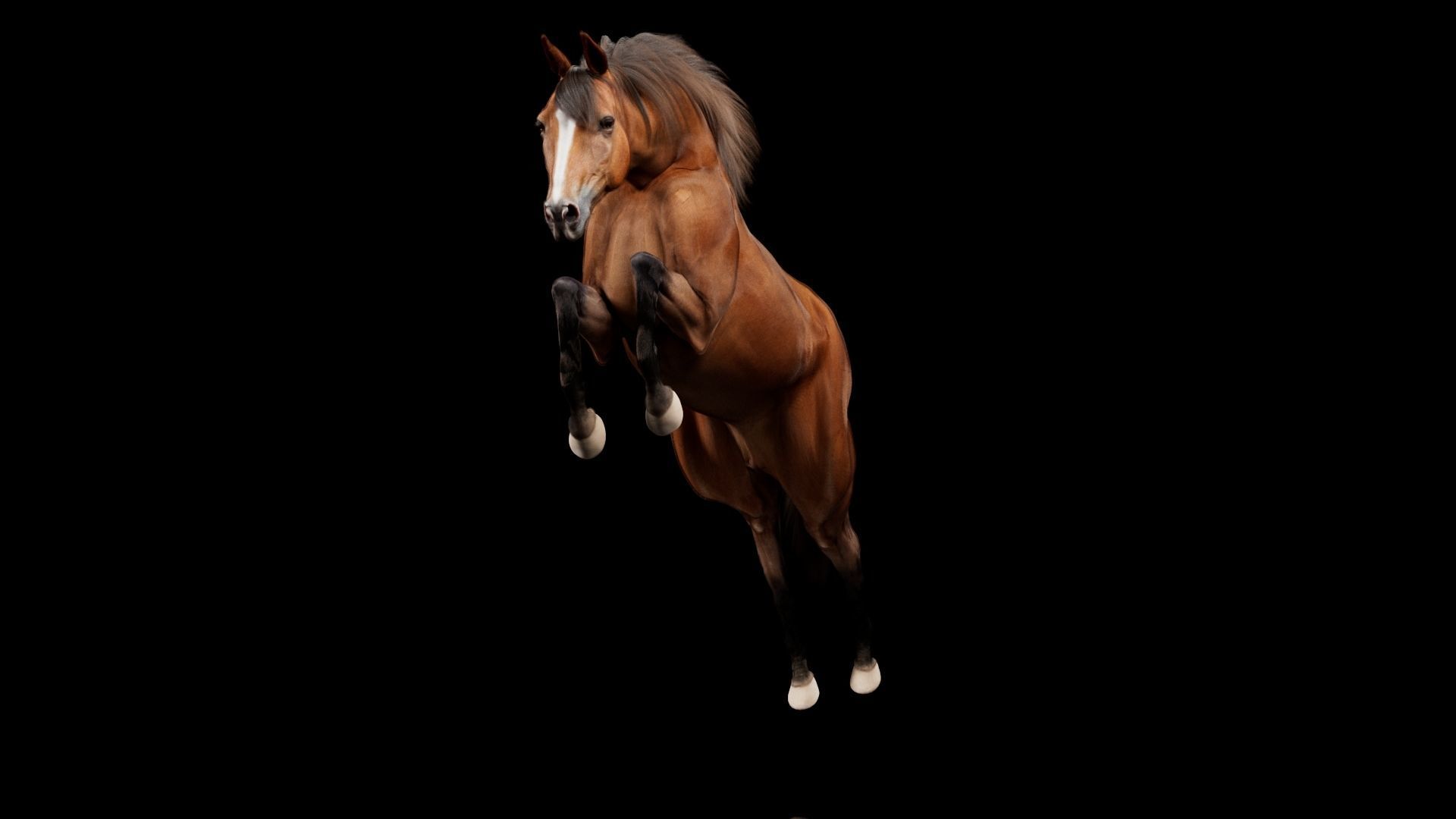 Horse Model 3D - Rigged - X-gen interactive grooming 3D model_49