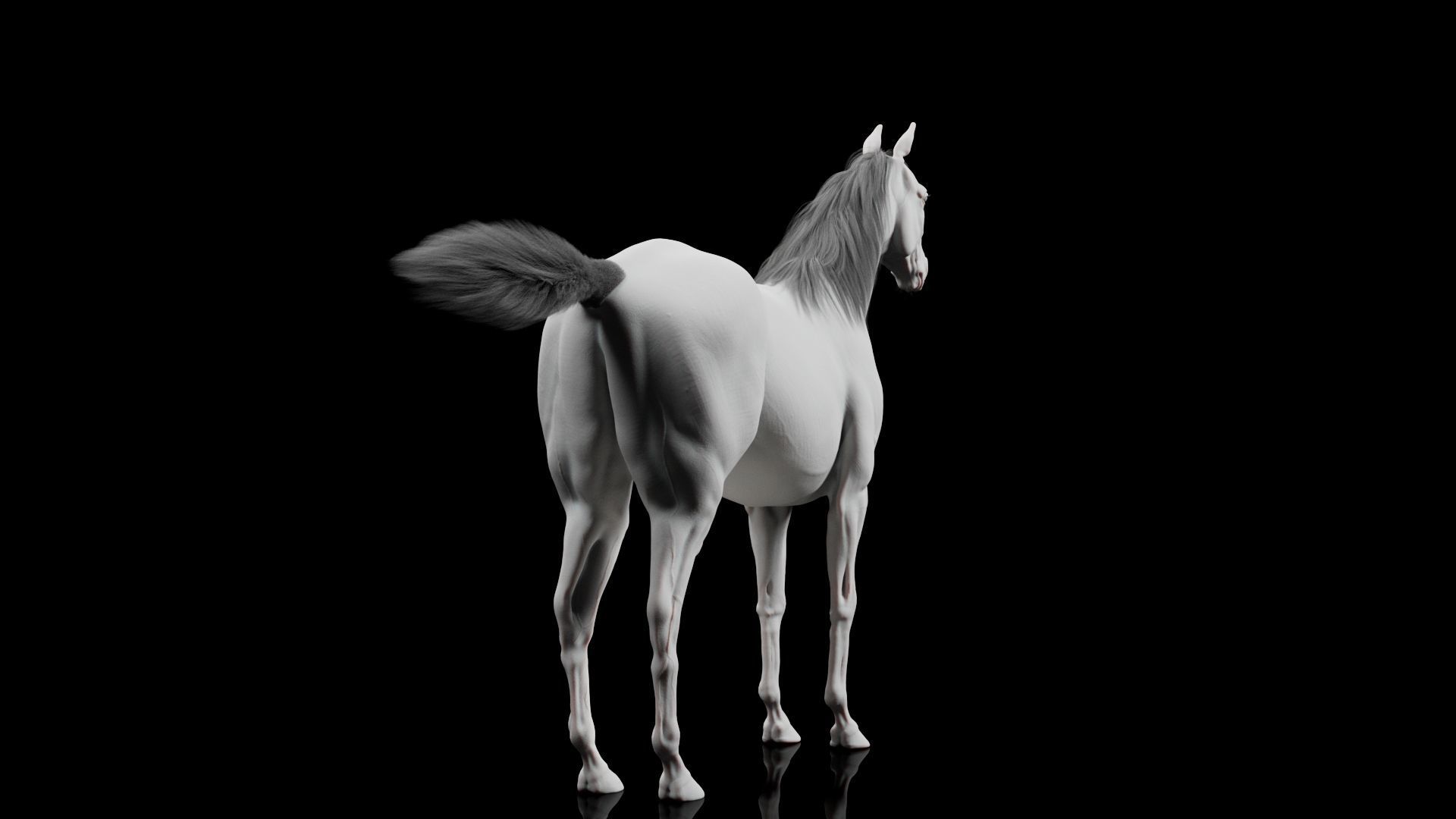 Horse Model 3D - Rigged - X-gen interactive grooming 3D model_14