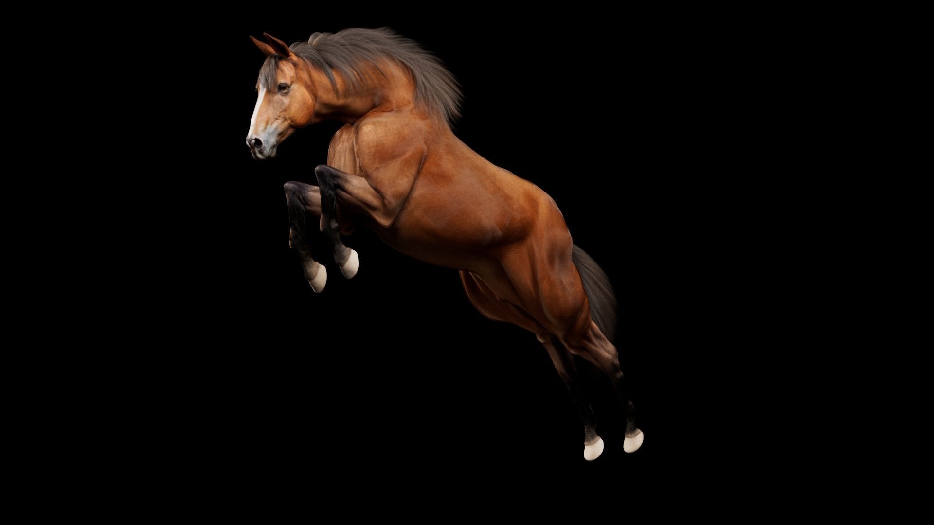 Horse Model 3D - Rigged - X-gen interactive grooming 3D model_50