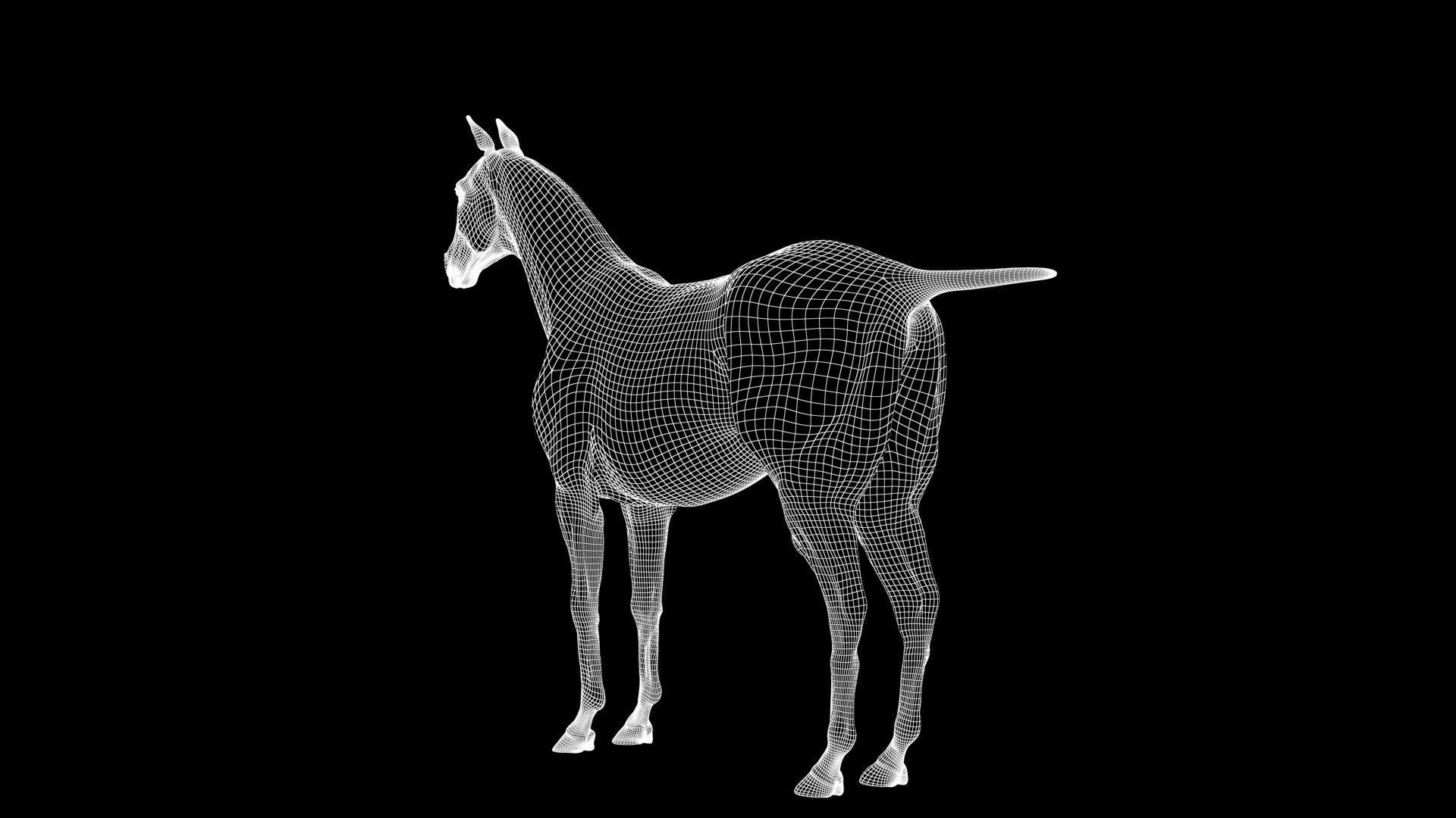 Horse Model 3D - Rigged - X-gen interactive grooming 3D model_40
