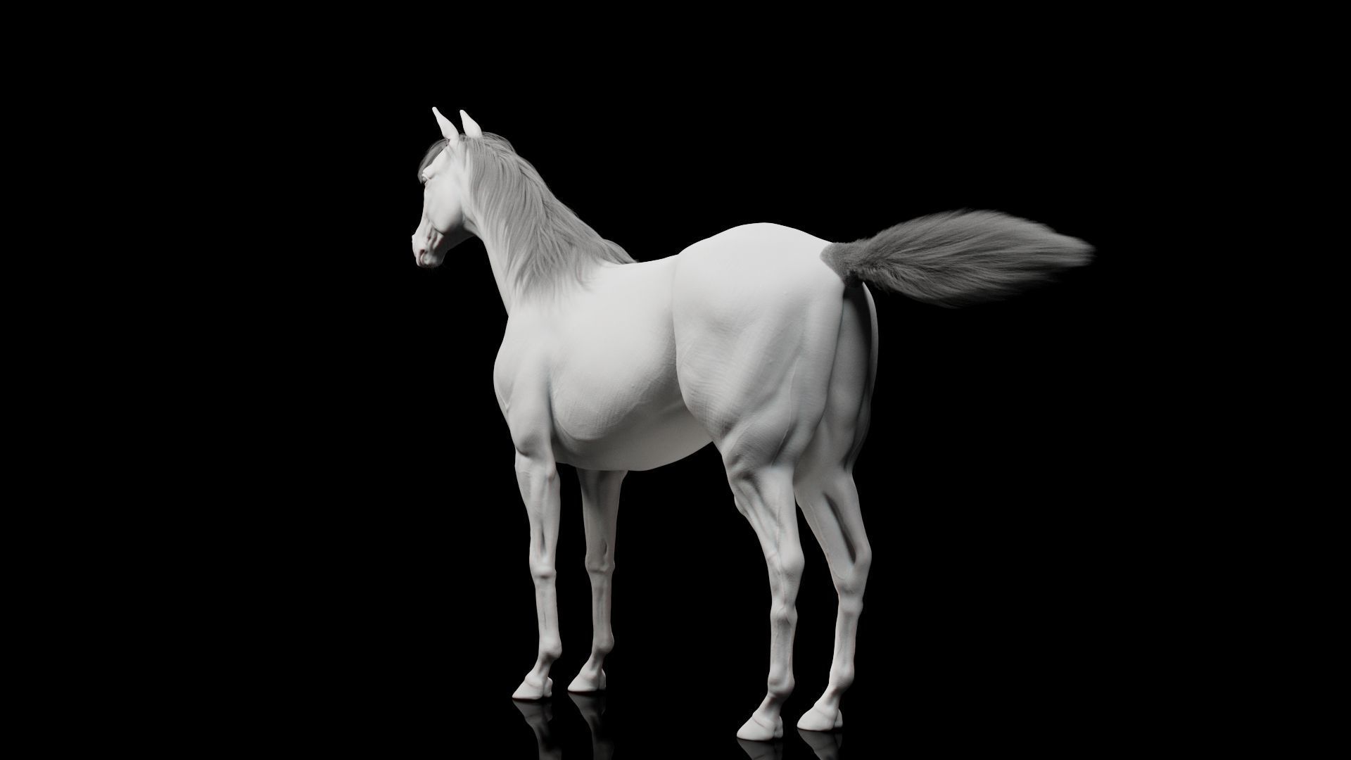 Horse Model 3D - Rigged - X-gen interactive grooming 3D model_16