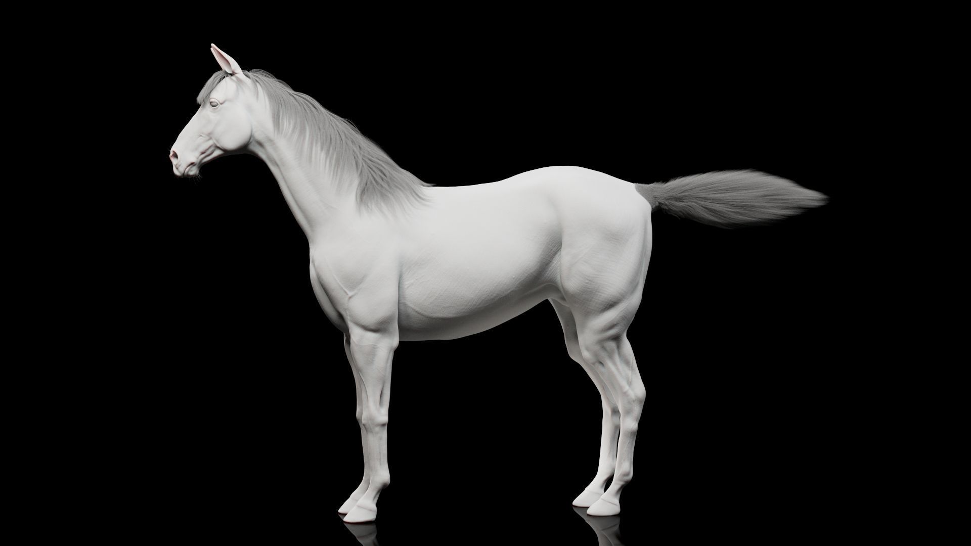 Horse Model 3D - Rigged - X-gen interactive grooming 3D model_25