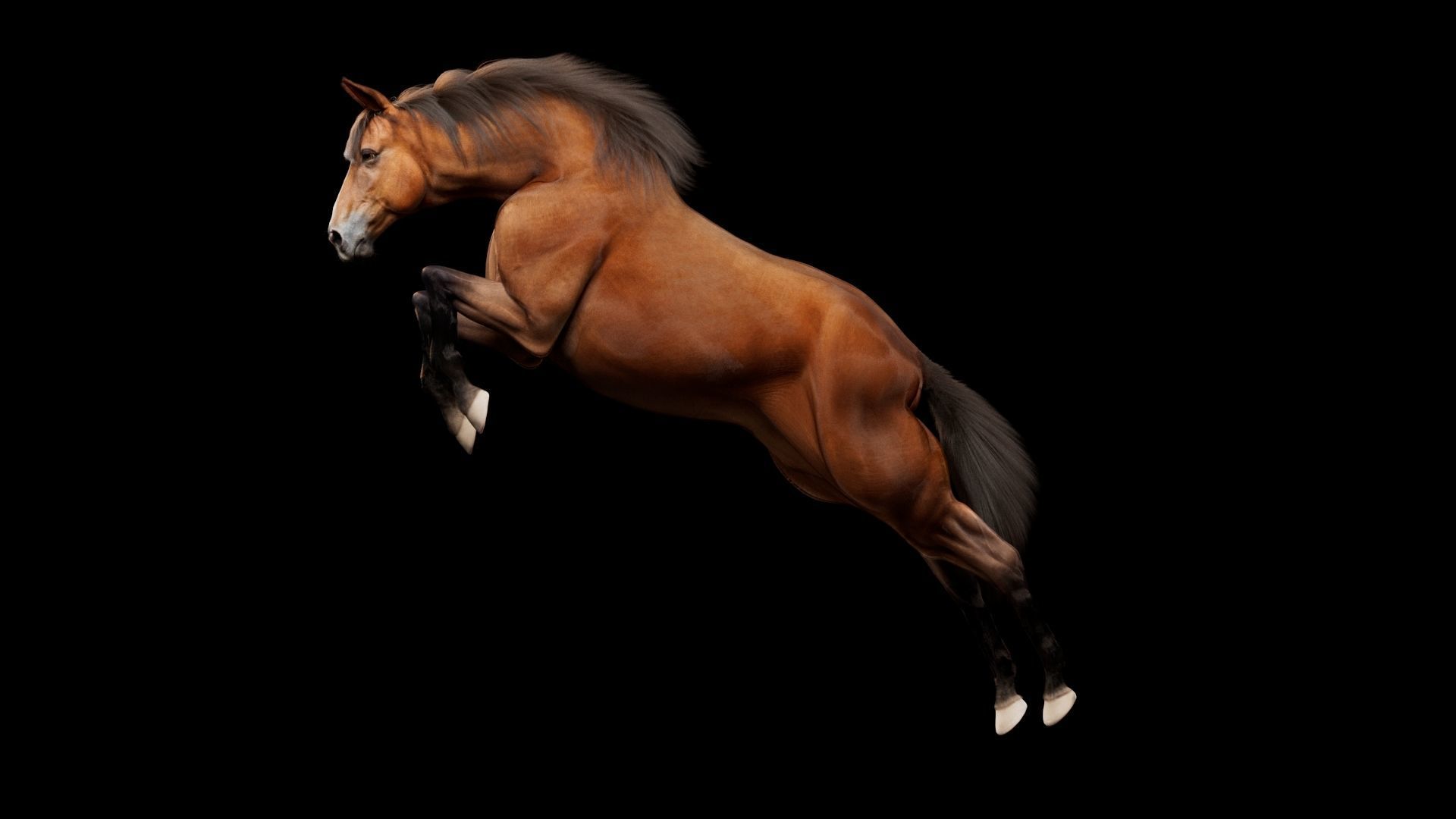 Horse Model 3D - Rigged - X-gen interactive grooming 3D model_51