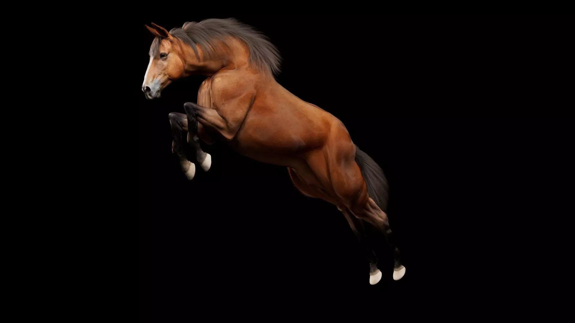 Horse Model 3D - Rigged - X-gen interactive grooming 3D model_0
