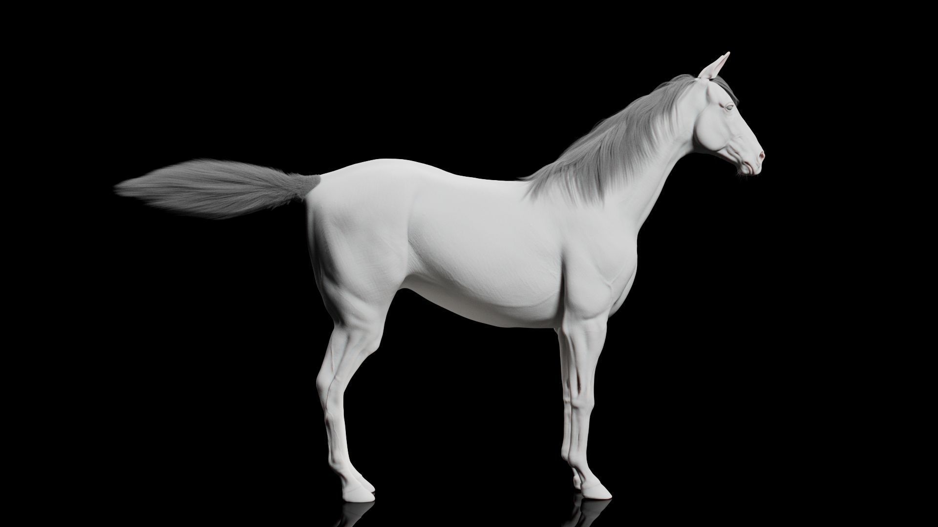 Horse Model 3D - Rigged - X-gen interactive grooming 3D model_19