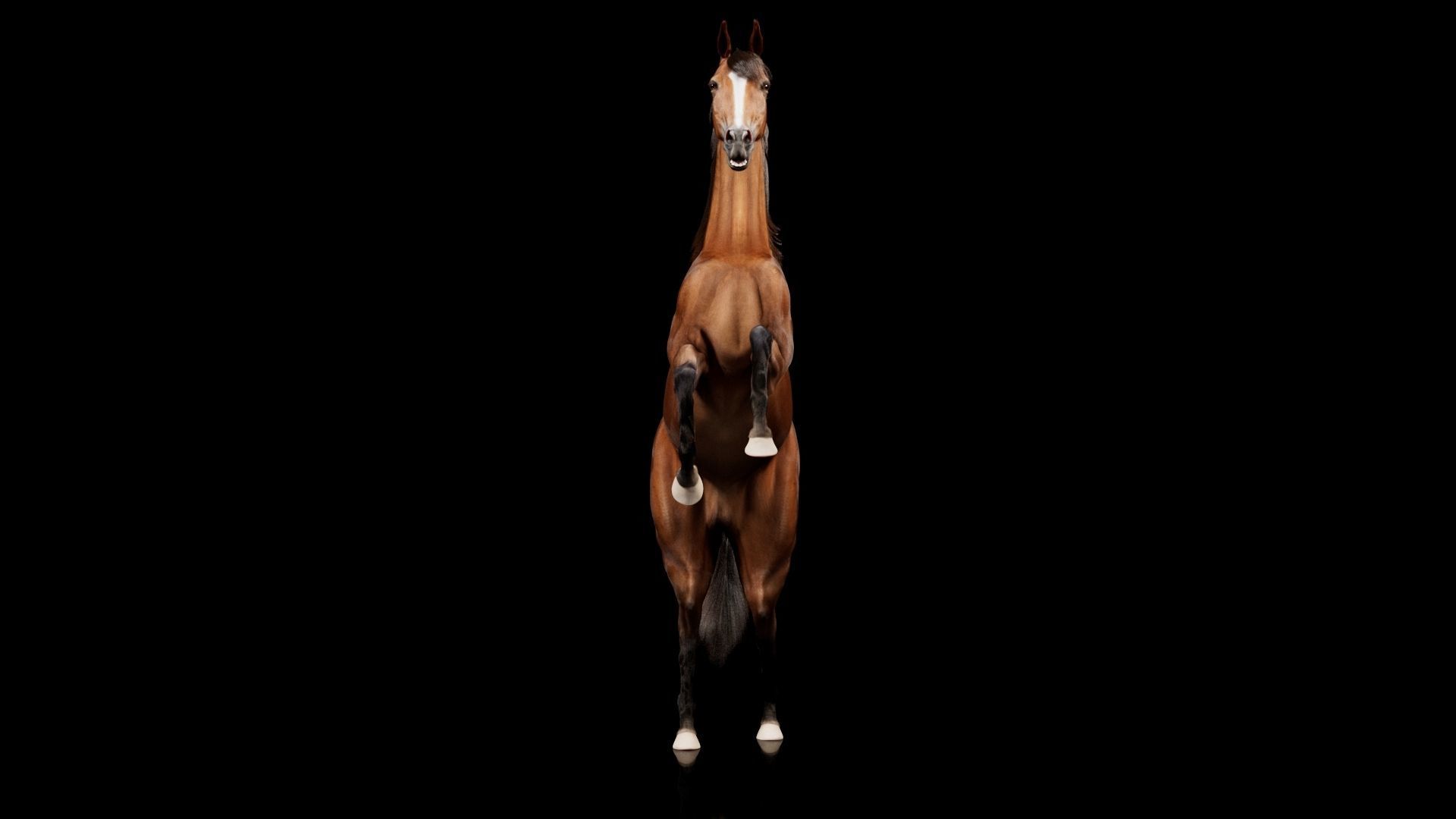 Horse Model 3D - Rigged - X-gen interactive grooming 3D model_58