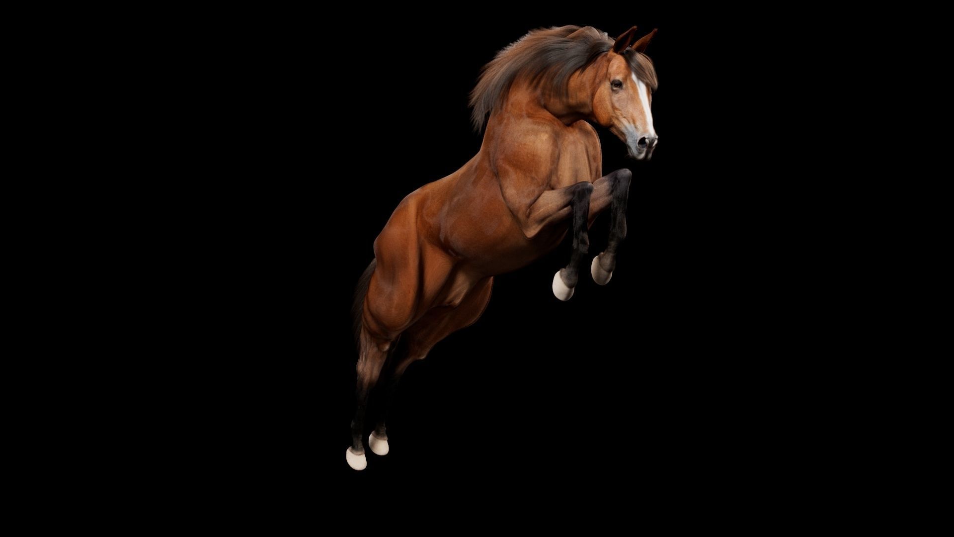Horse Model 3D - Rigged - X-gen interactive grooming 3D model_47