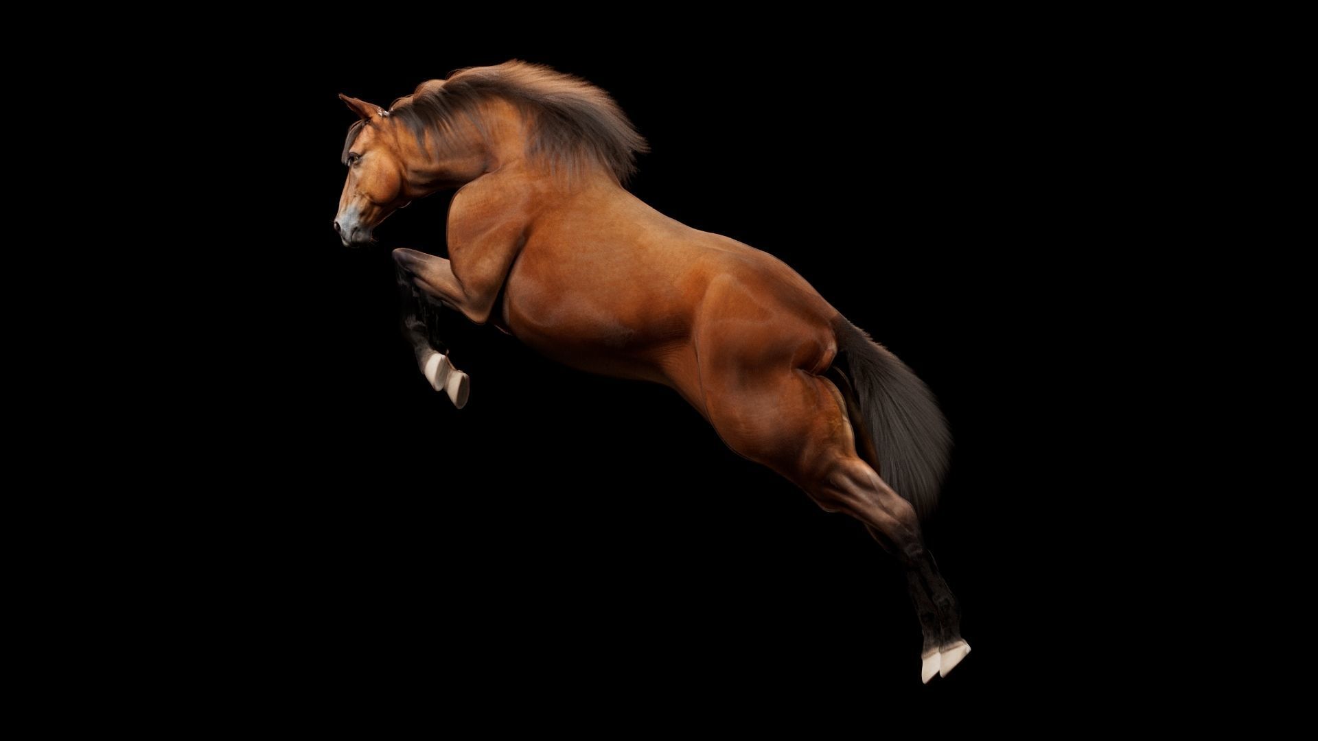 Horse Model 3D - Rigged - X-gen interactive grooming 3D model_52