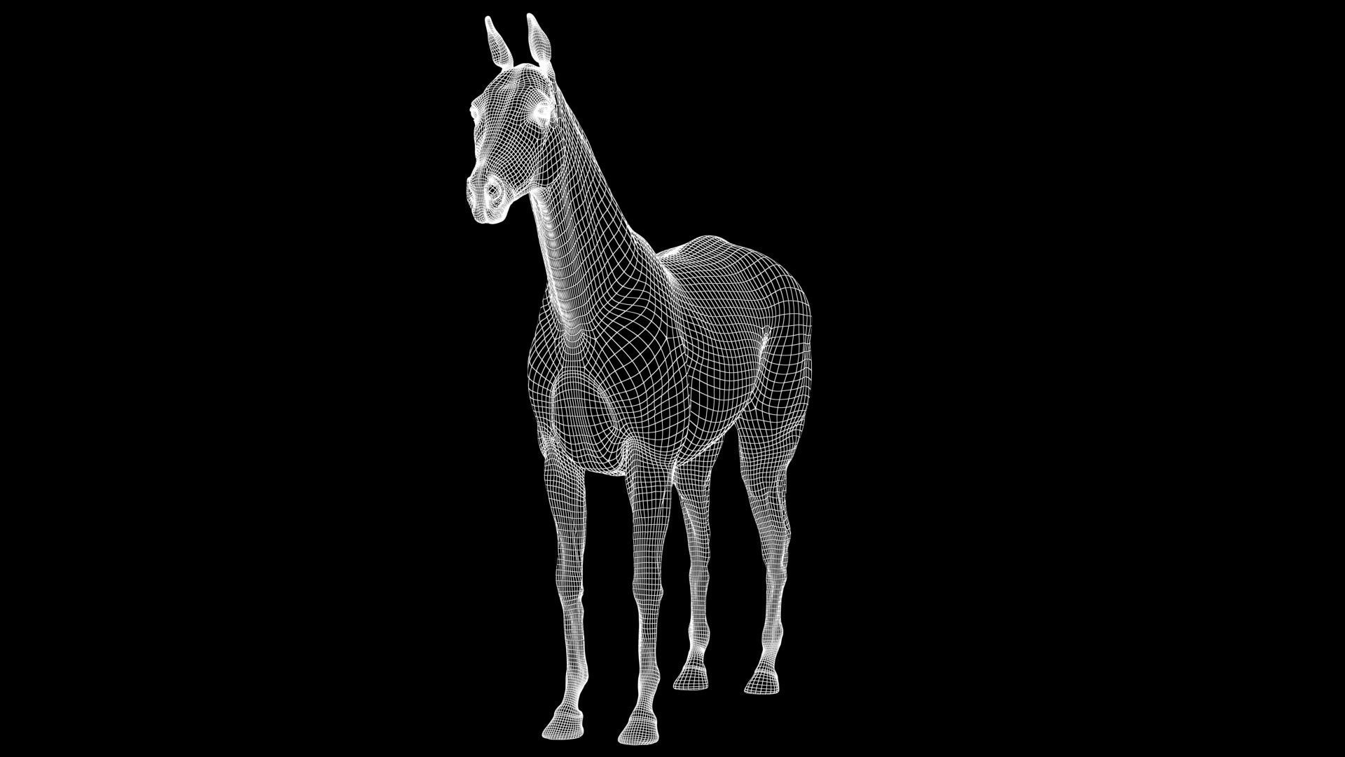 Horse Model 3D - Rigged - X-gen interactive grooming 3D model_36