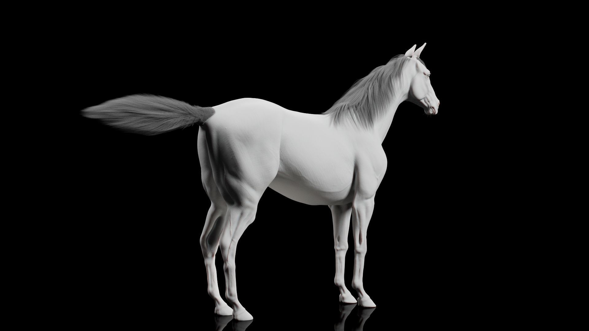 Horse Model 3D - Rigged - X-gen interactive grooming 3D model_18