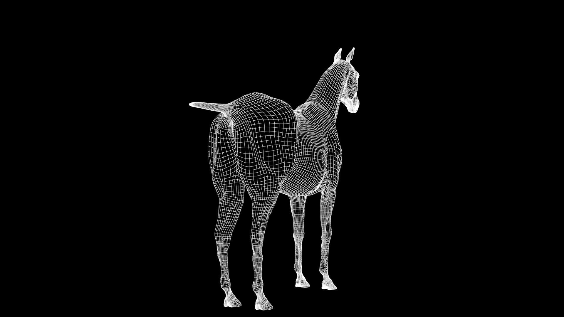 Horse Model 3D - Rigged - X-gen interactive grooming 3D model_30