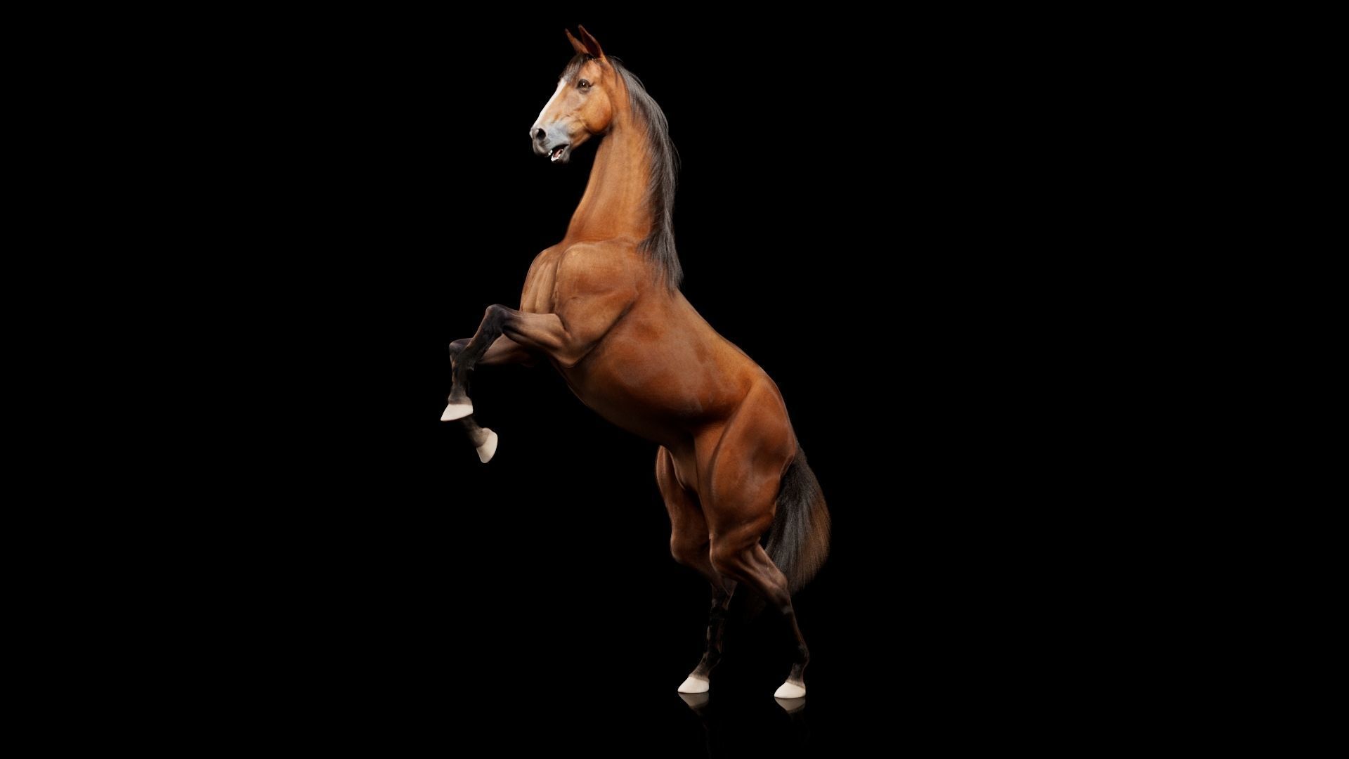 Horse Model 3D - Rigged - X-gen interactive grooming 3D model_60