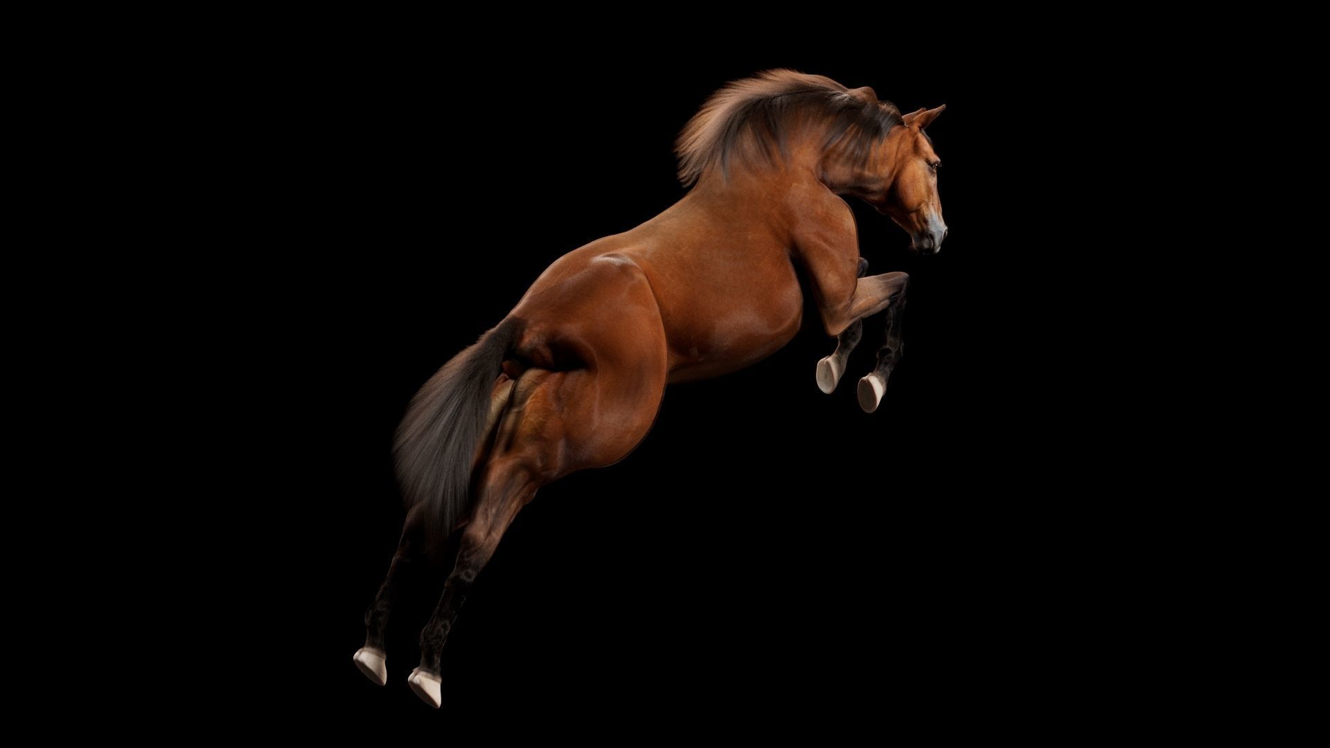 Horse Model 3D - Rigged - X-gen interactive grooming 3D model_44