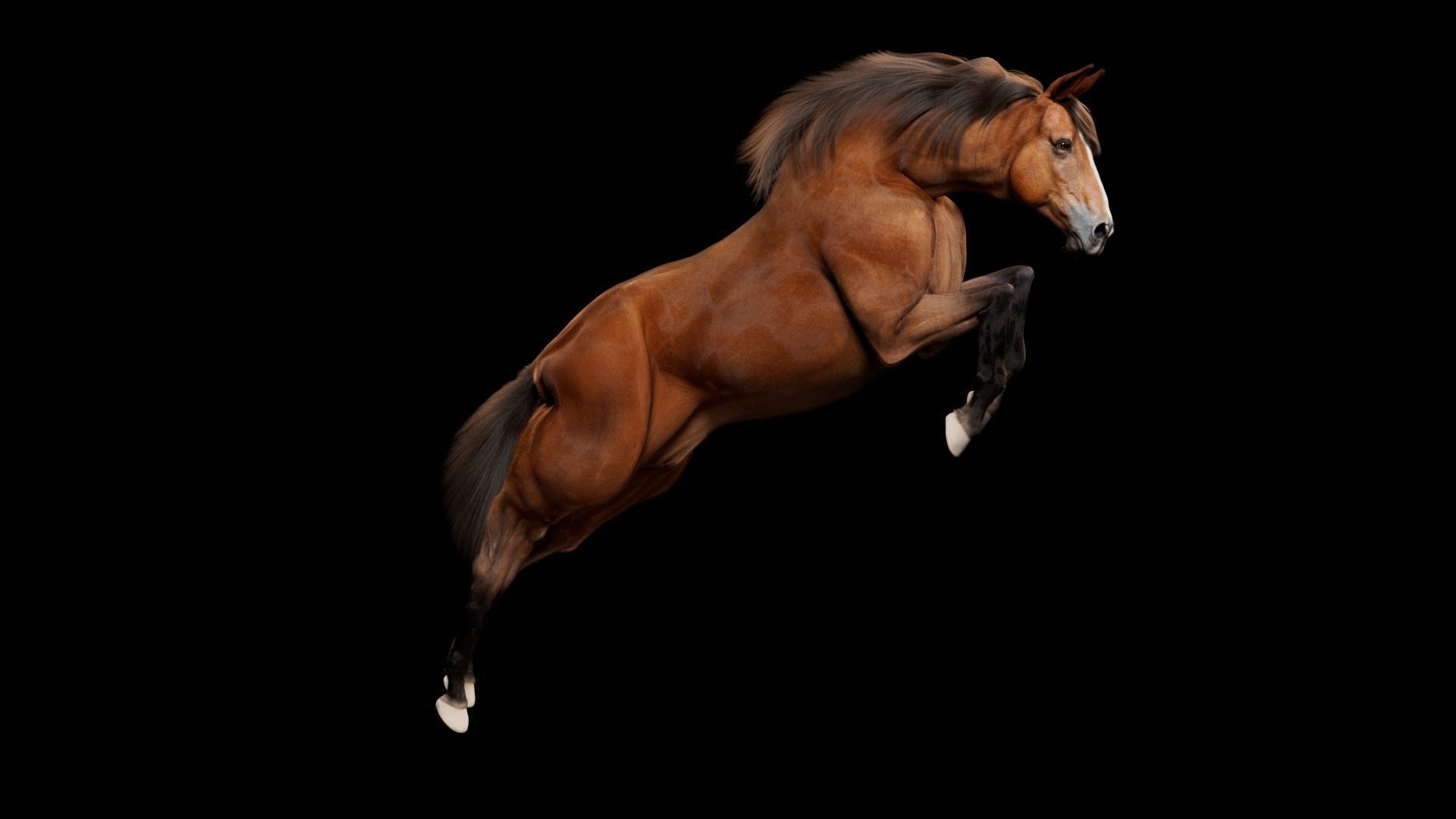 Horse Model 3D - Rigged - X-gen interactive grooming 3D model_46