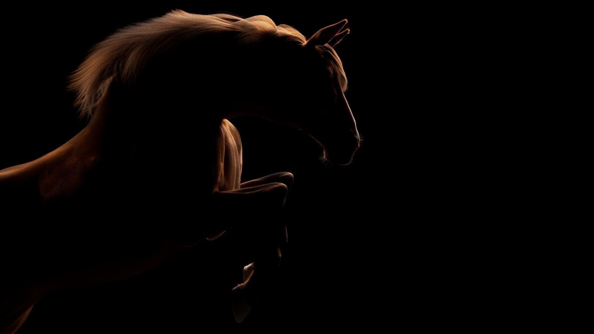 Horse Model 3D - Rigged - X-gen interactive grooming 3D model_42