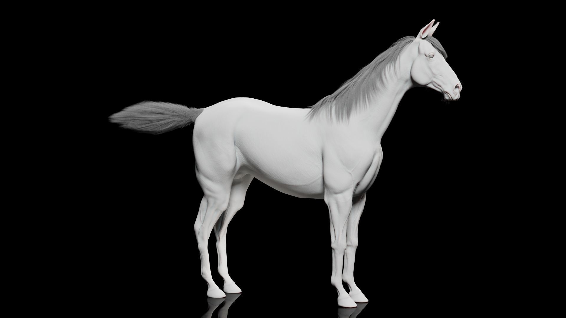 Horse Model 3D - Rigged - X-gen interactive grooming 3D model_20