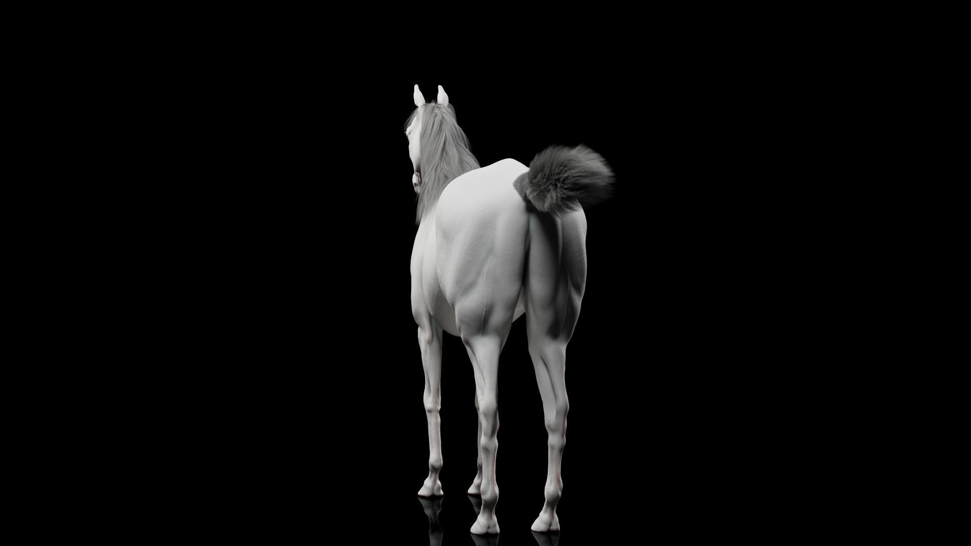 Horse Model 3D - Rigged - X-gen interactive grooming 3D model_17
