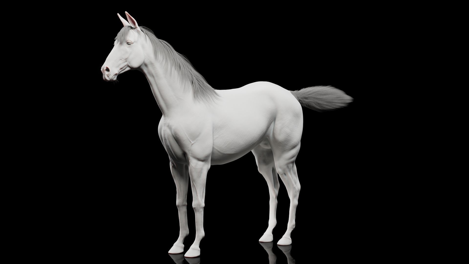 Horse Model 3D - Rigged - X-gen interactive grooming 3D model_24