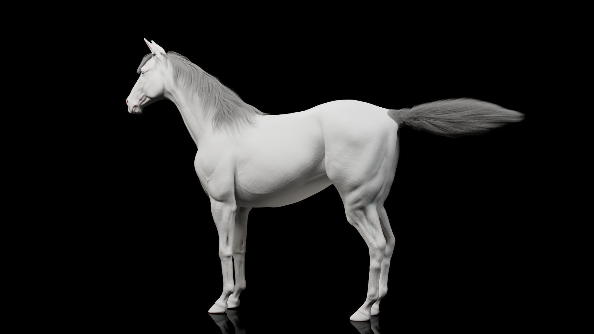 Horse Model 3D - Rigged - X-gen interactive grooming 3D model_15