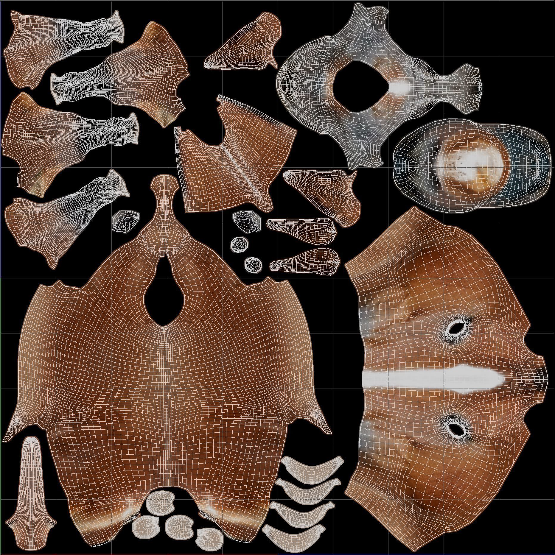 Horse Model 3D - Rigged - X-gen interactive grooming 3D model_63