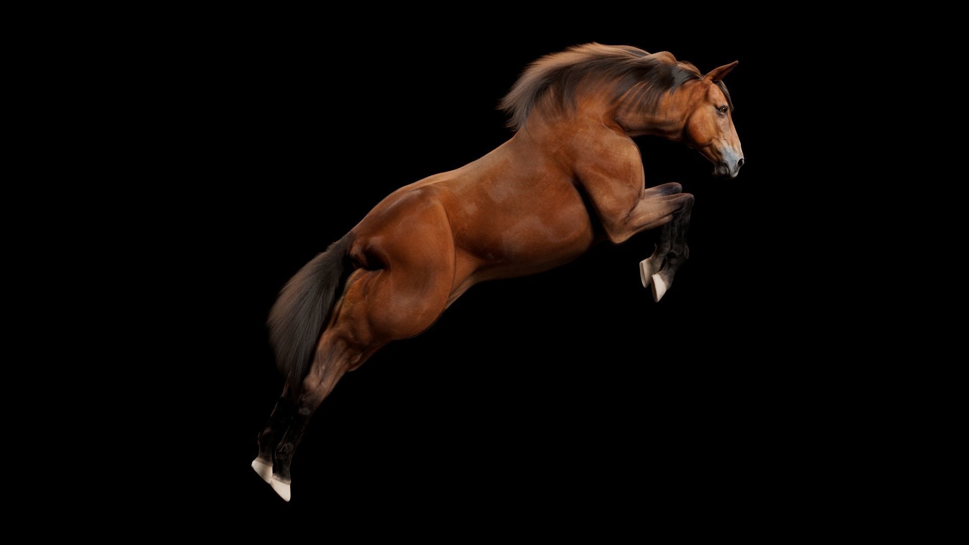 Horse Model 3D - Rigged - X-gen interactive grooming 3D model_45