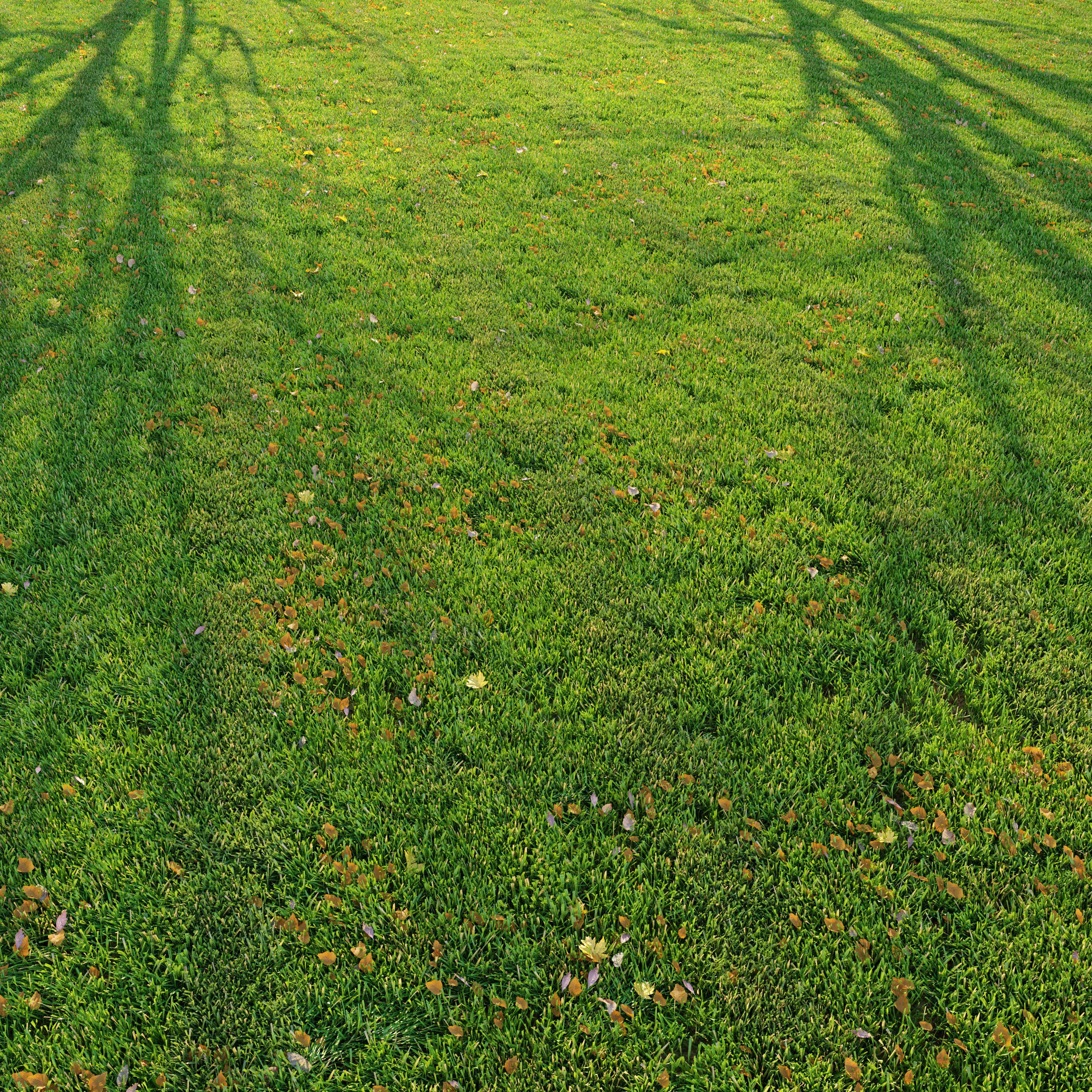 Cut grass 3D model_0