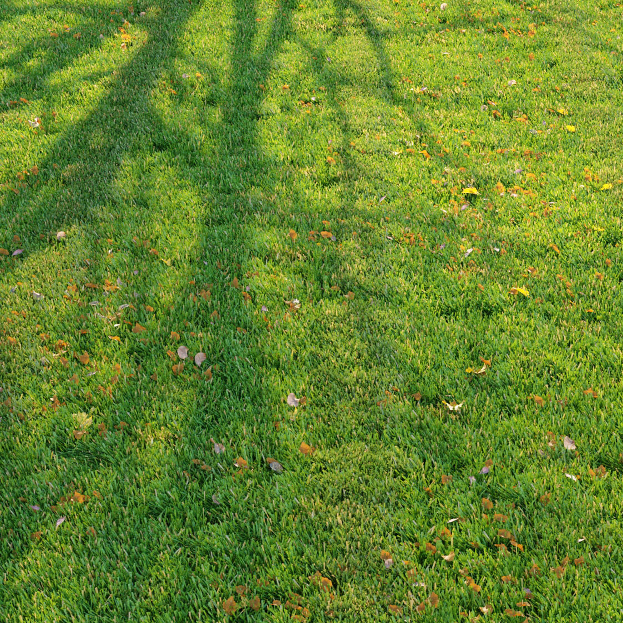 Cut grass 3D model_3