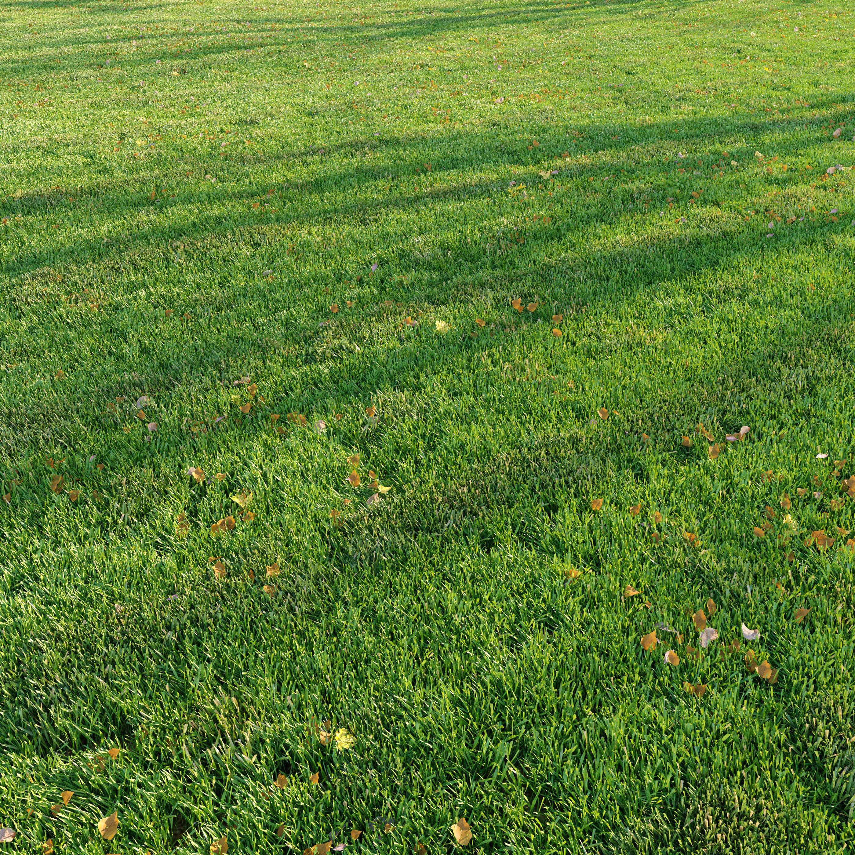 Cut grass 3D model_1