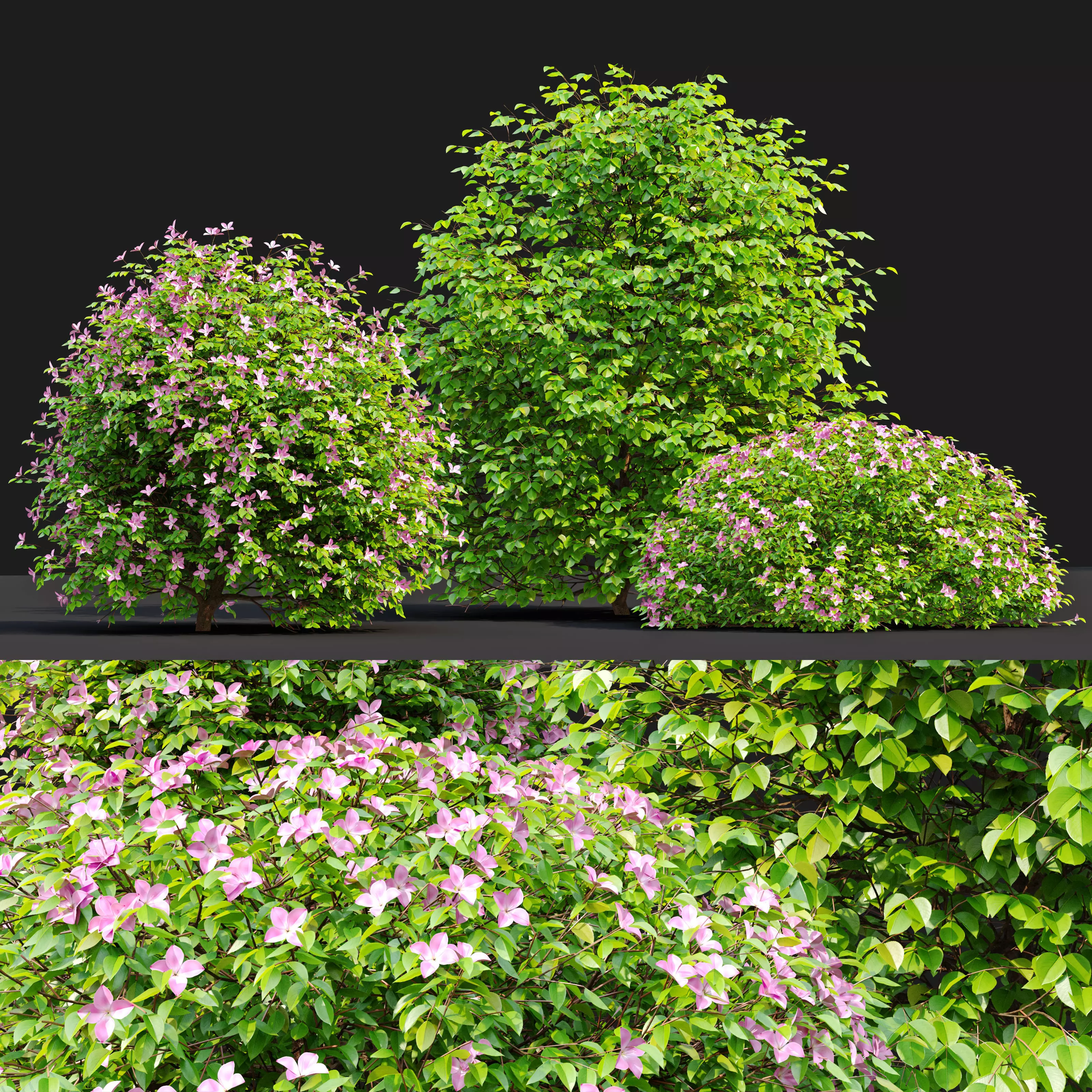 Fueng Fah Flower 3D model