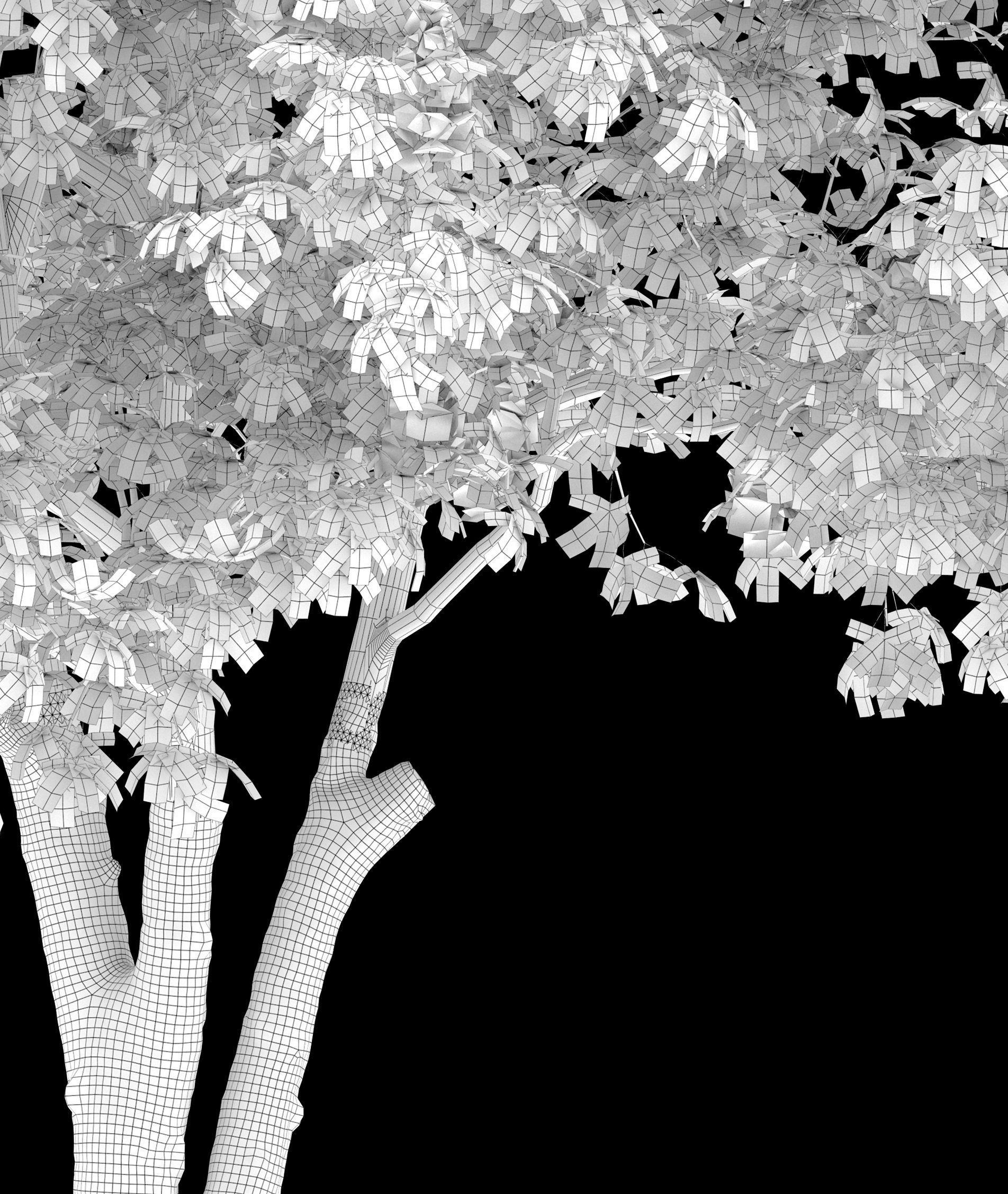 Chestnut tree 3D model_6