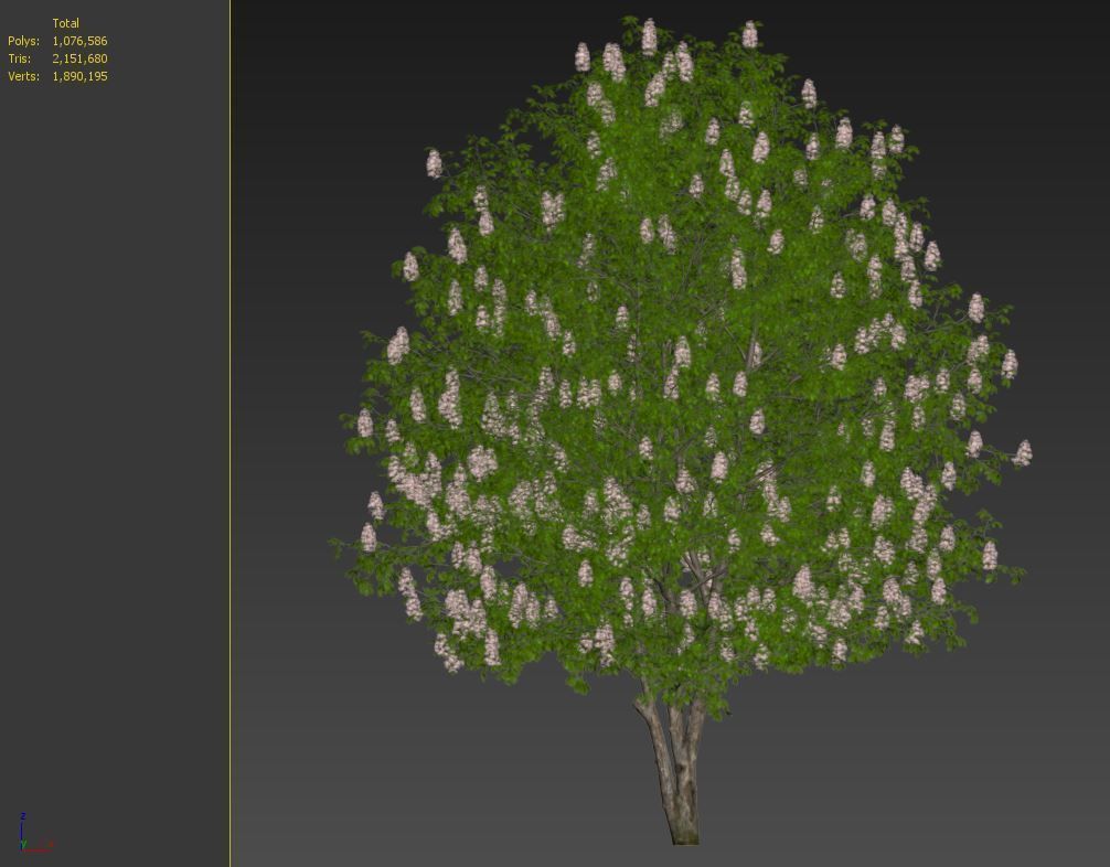 Chestnut tree 3D model_7