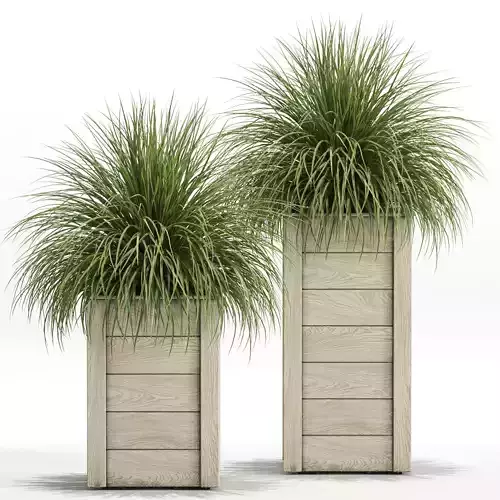 Plants collection 751