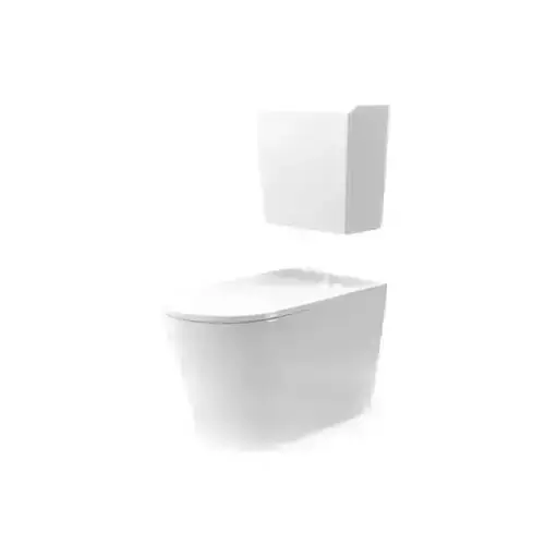 White Porcelain Toilet Bowl And Tank