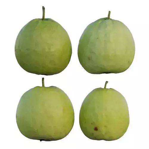 Guava 06
