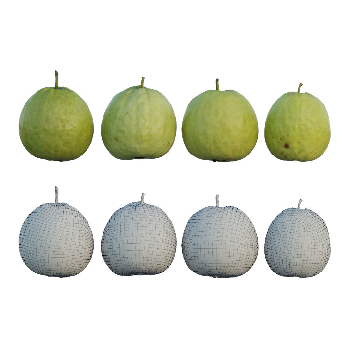 Guava 06 3D model_1